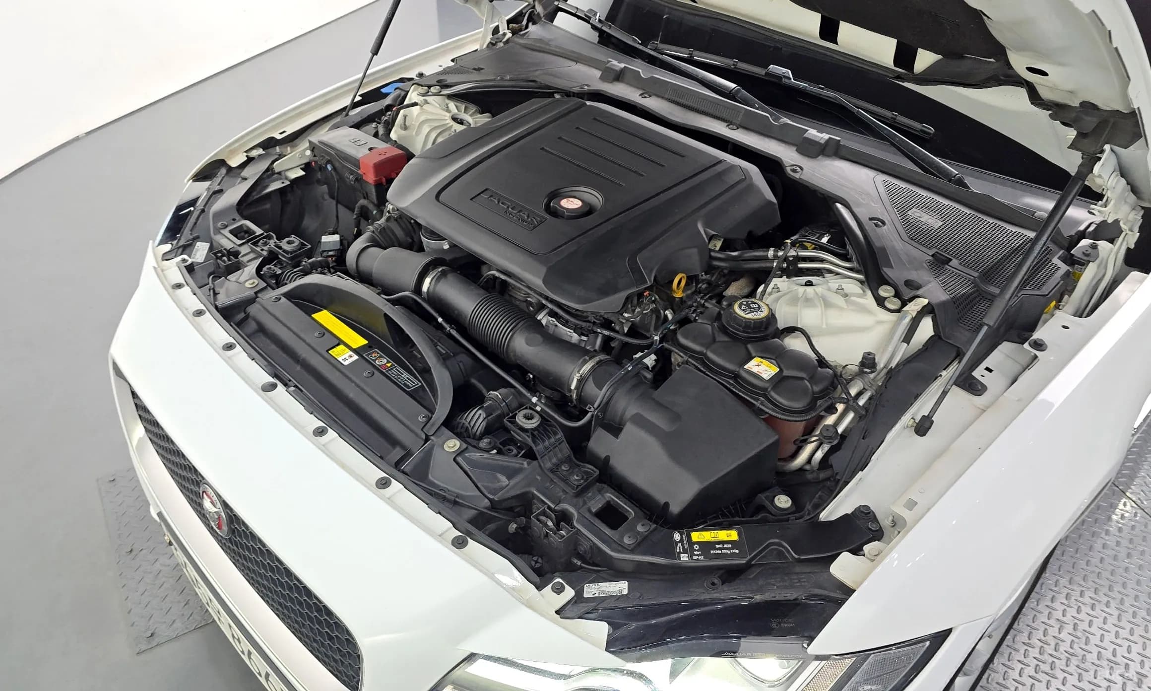 XF (x260)