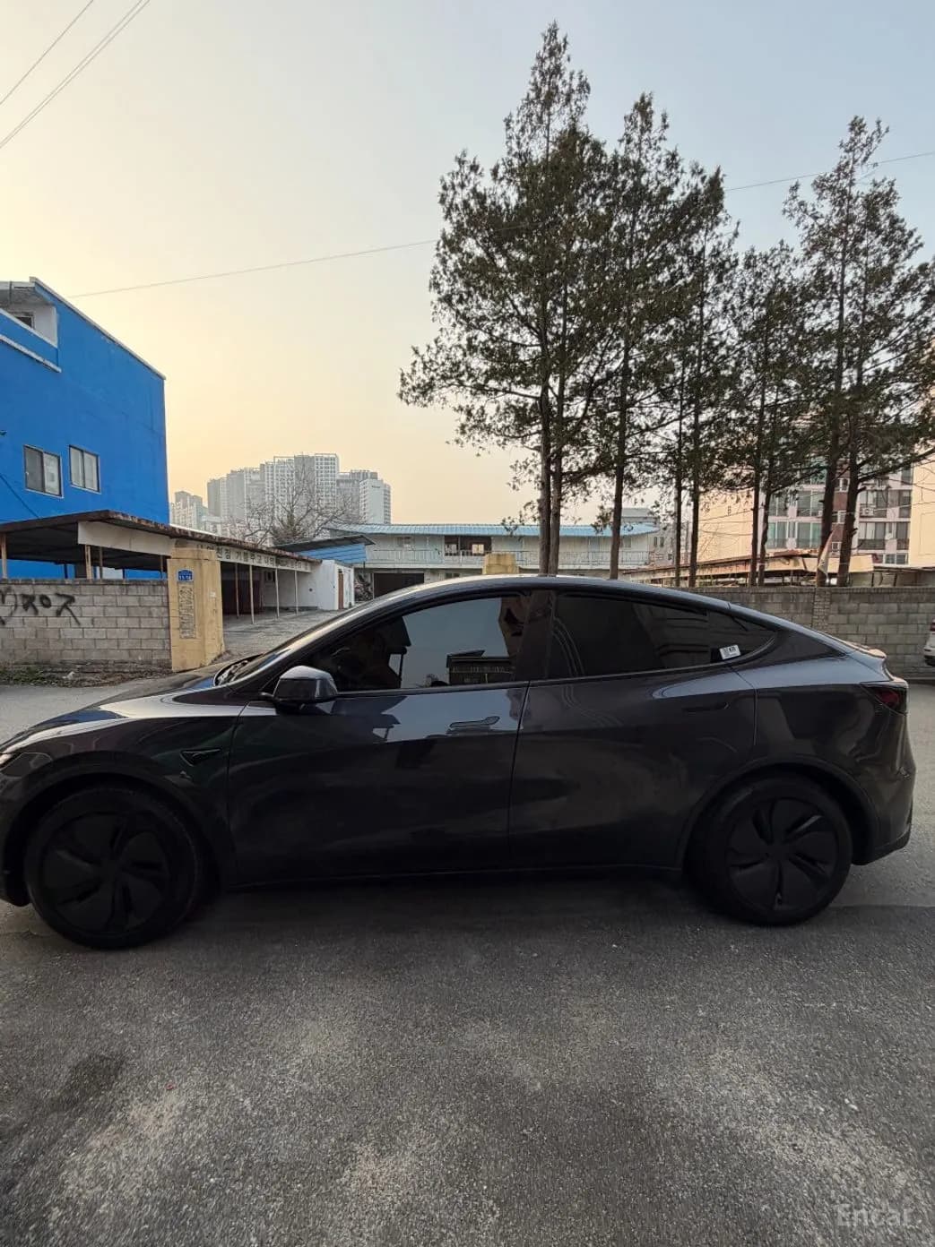 Model Y