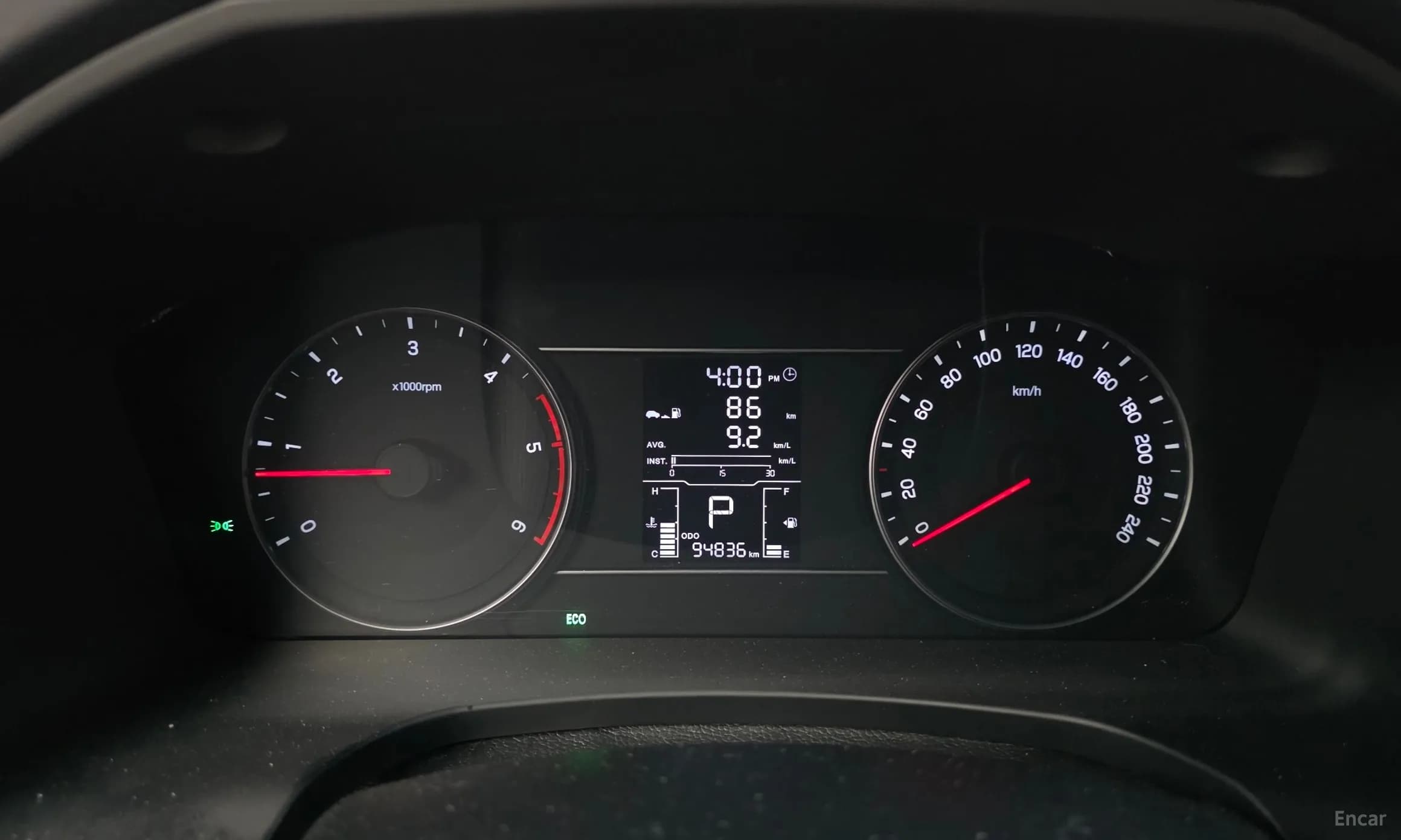 Rexton Sports