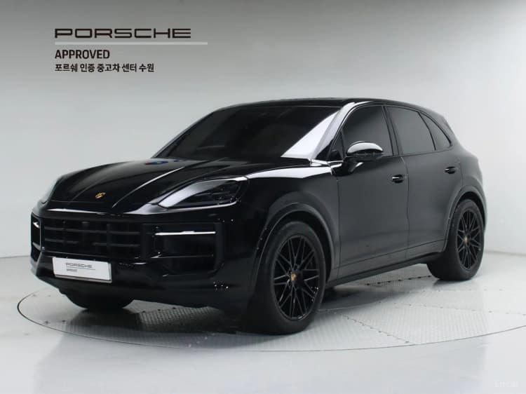 Cayenne (PO536)