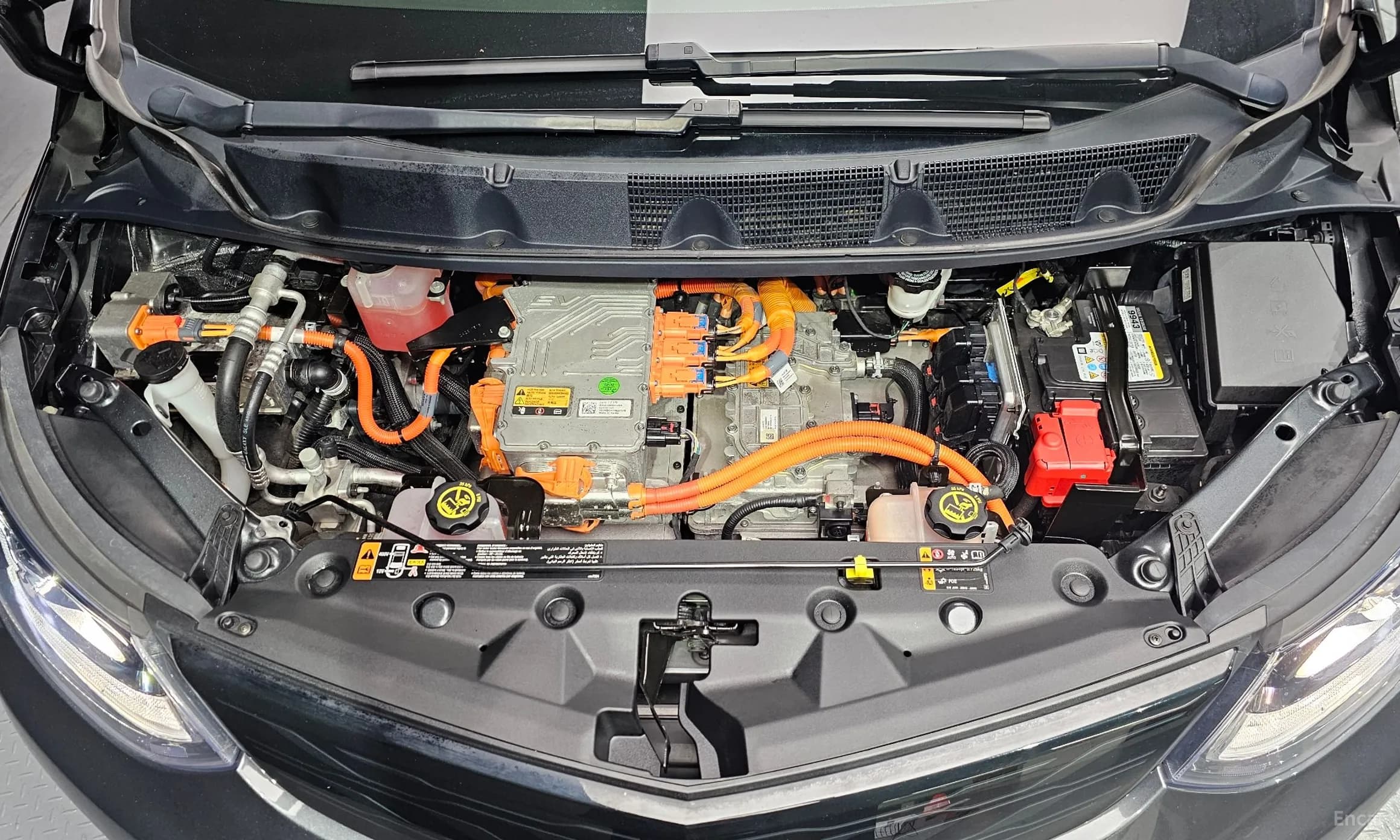 Bolt EV