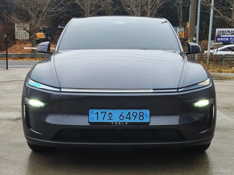 Model Y