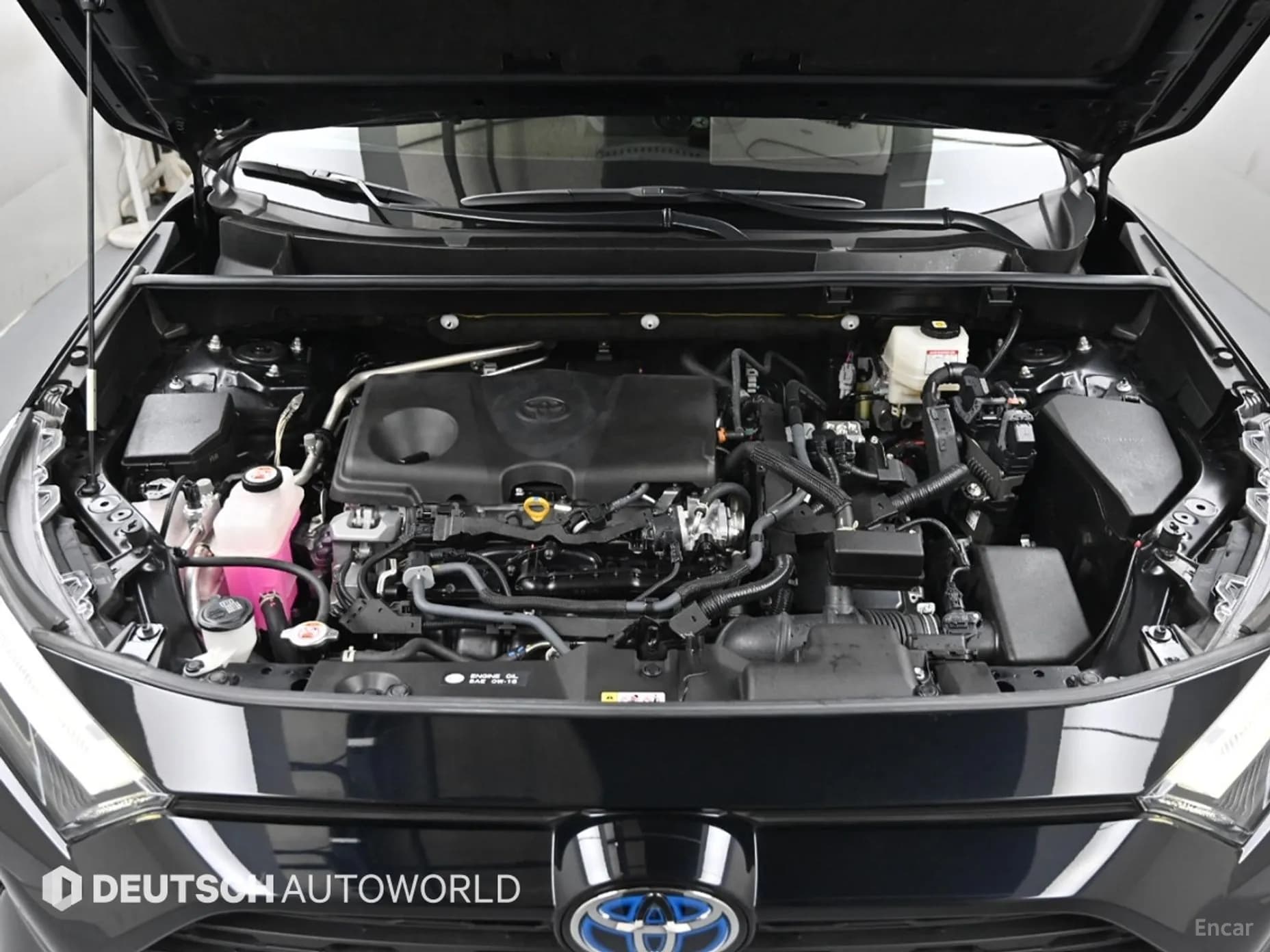 RAV4 5th Generation