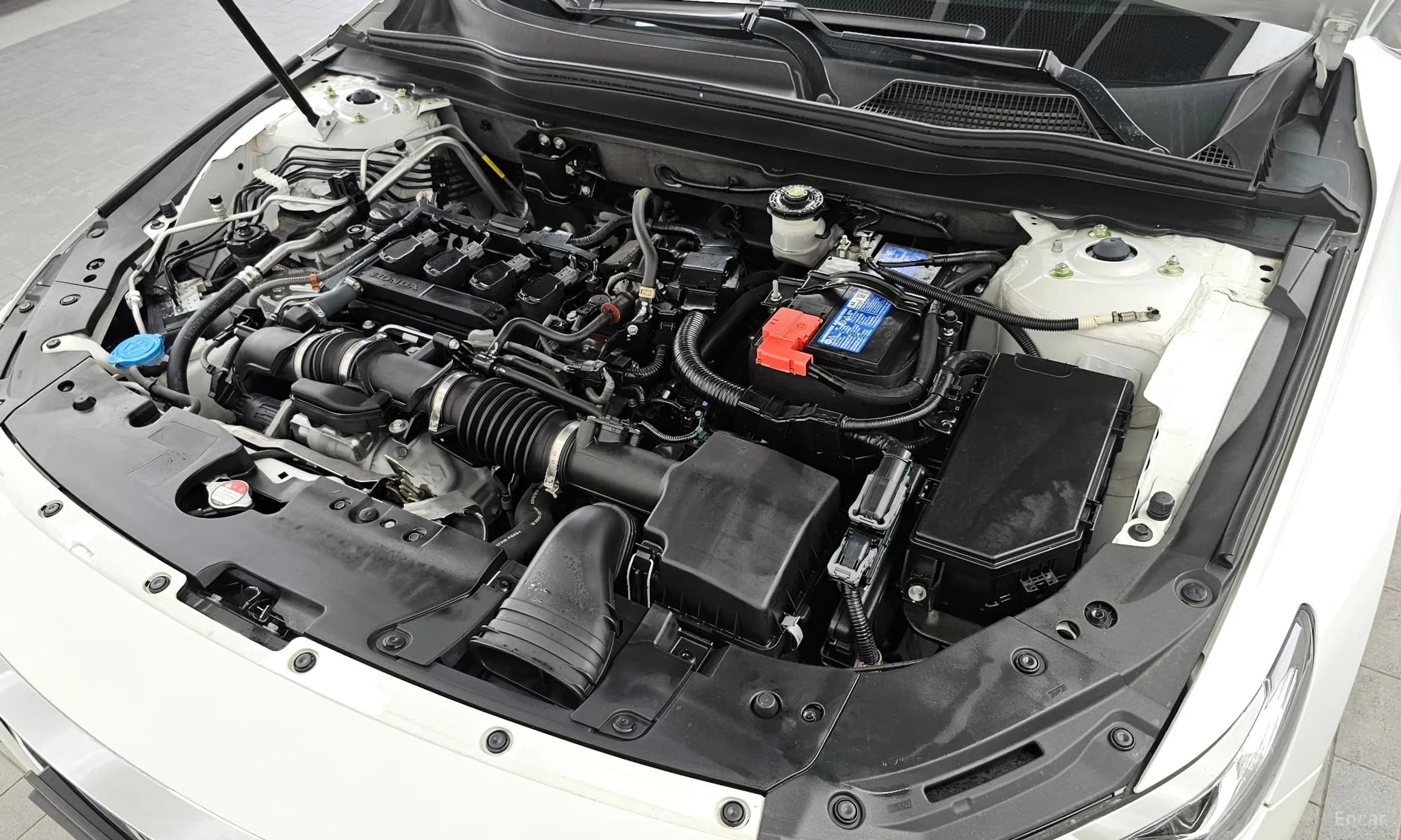 Accord 10th Generation