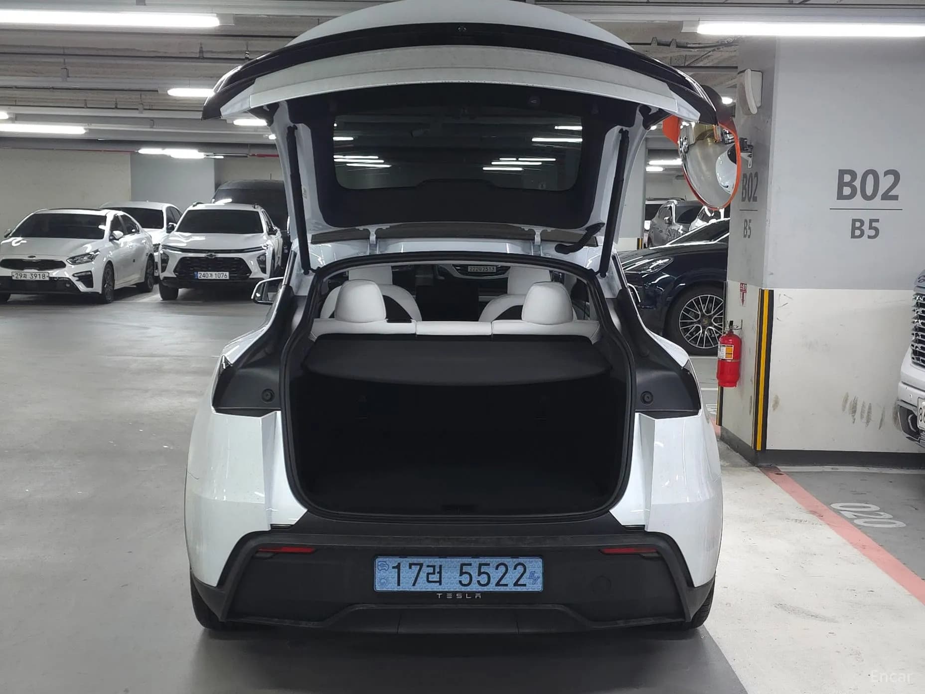 Model Y