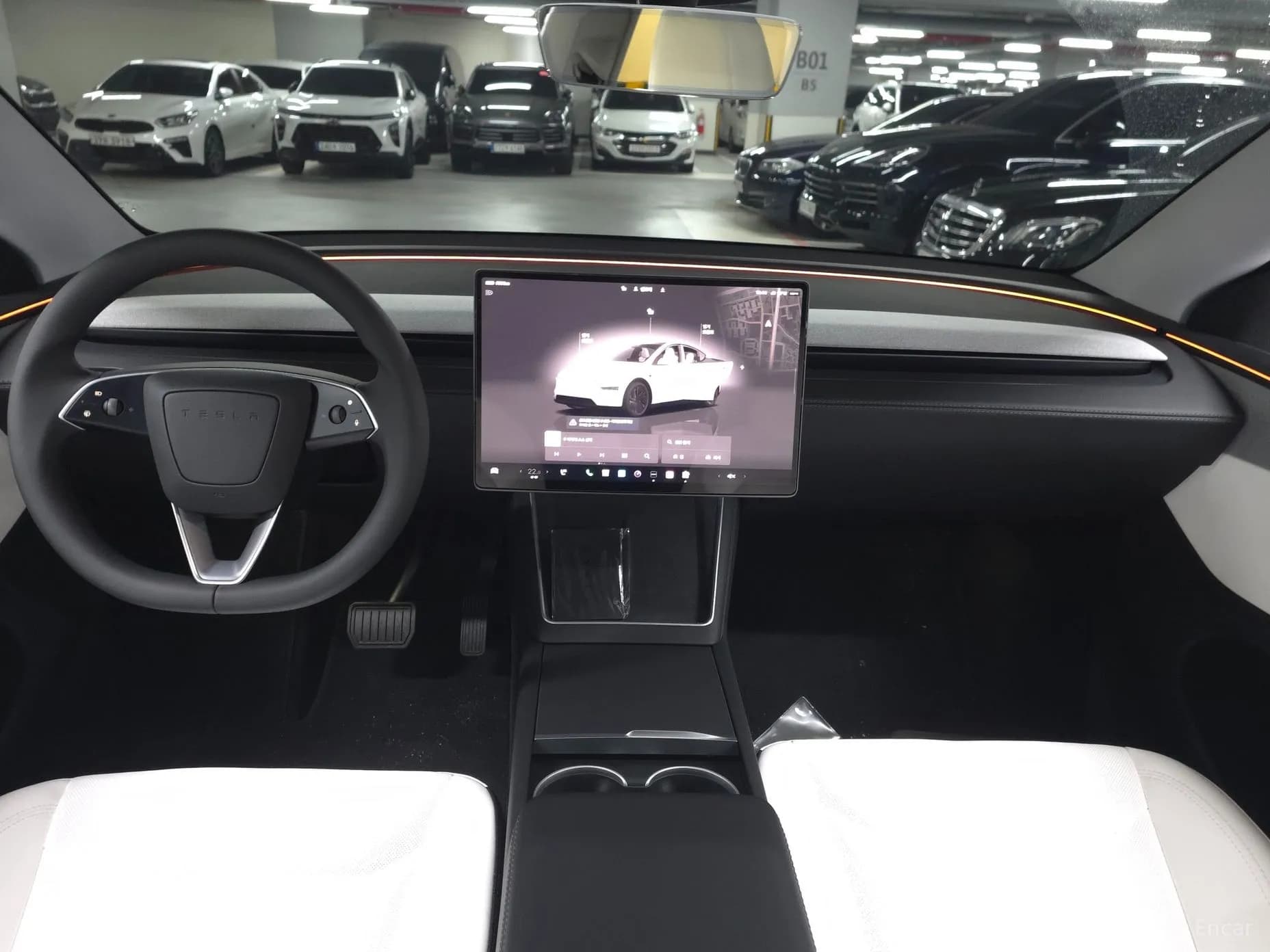 Model Y