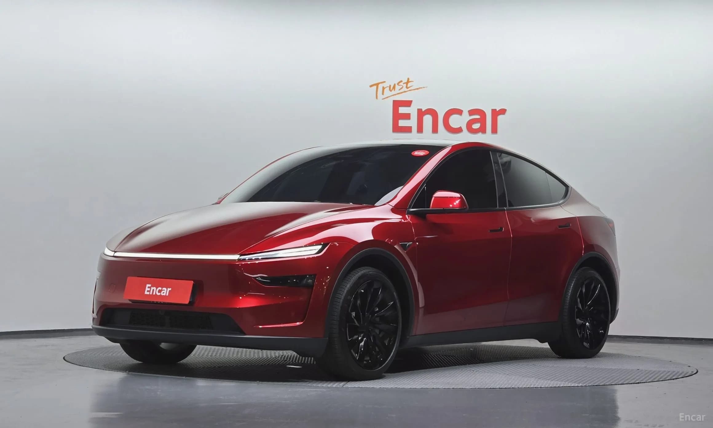 Model Y