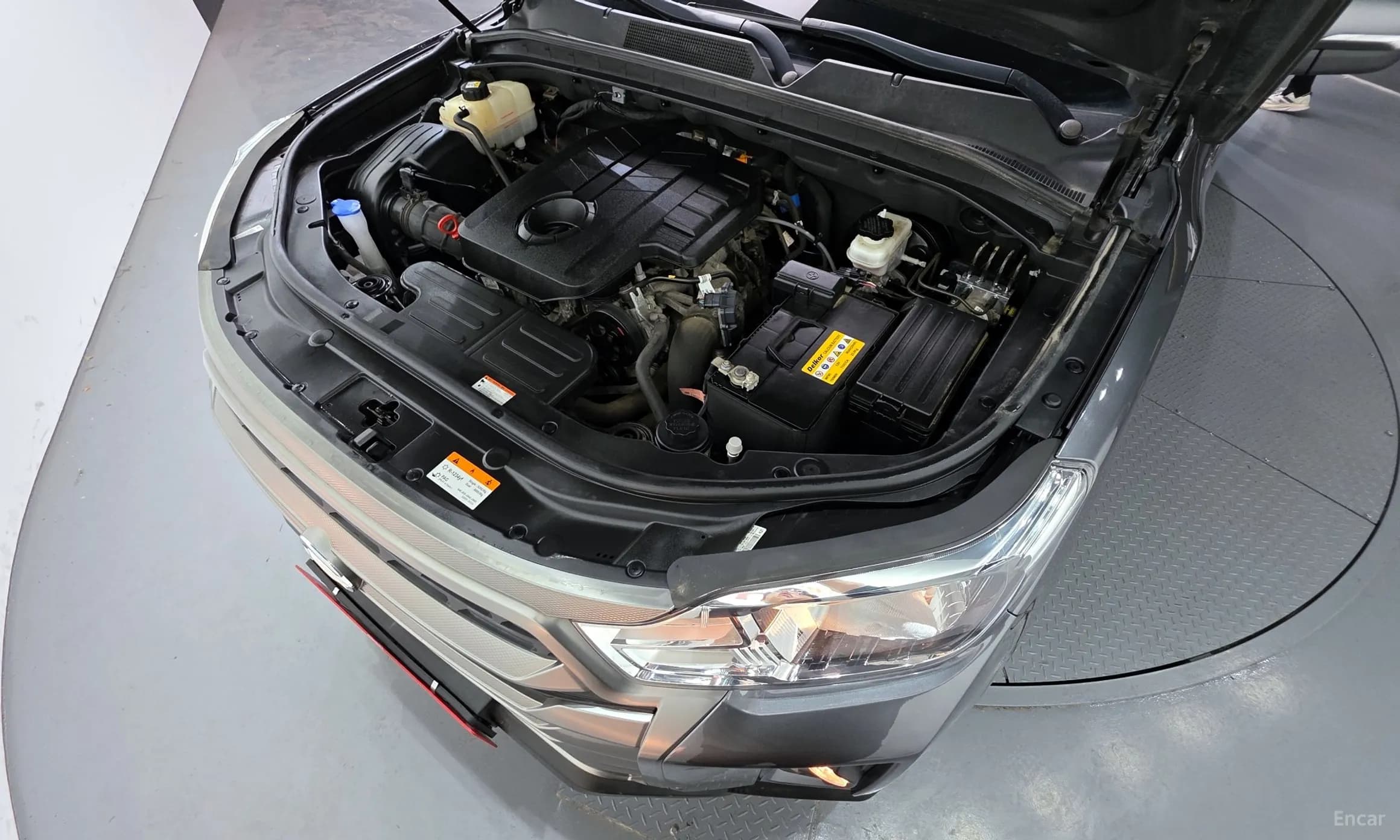Rexton Sports