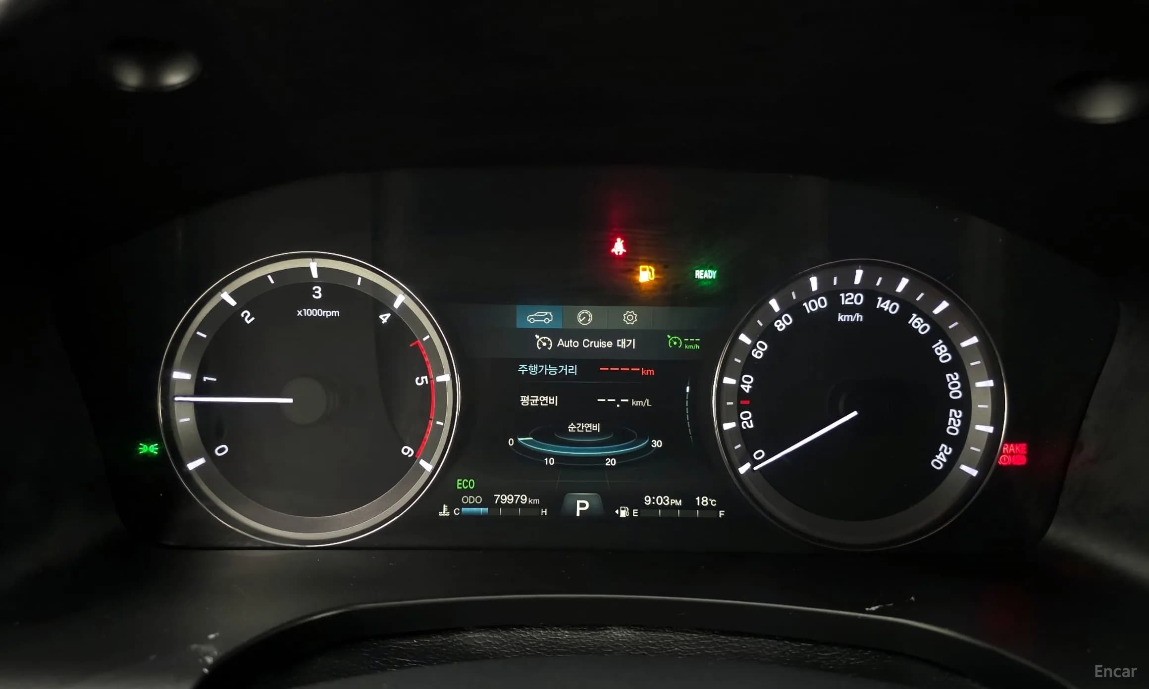 Rexton Sports