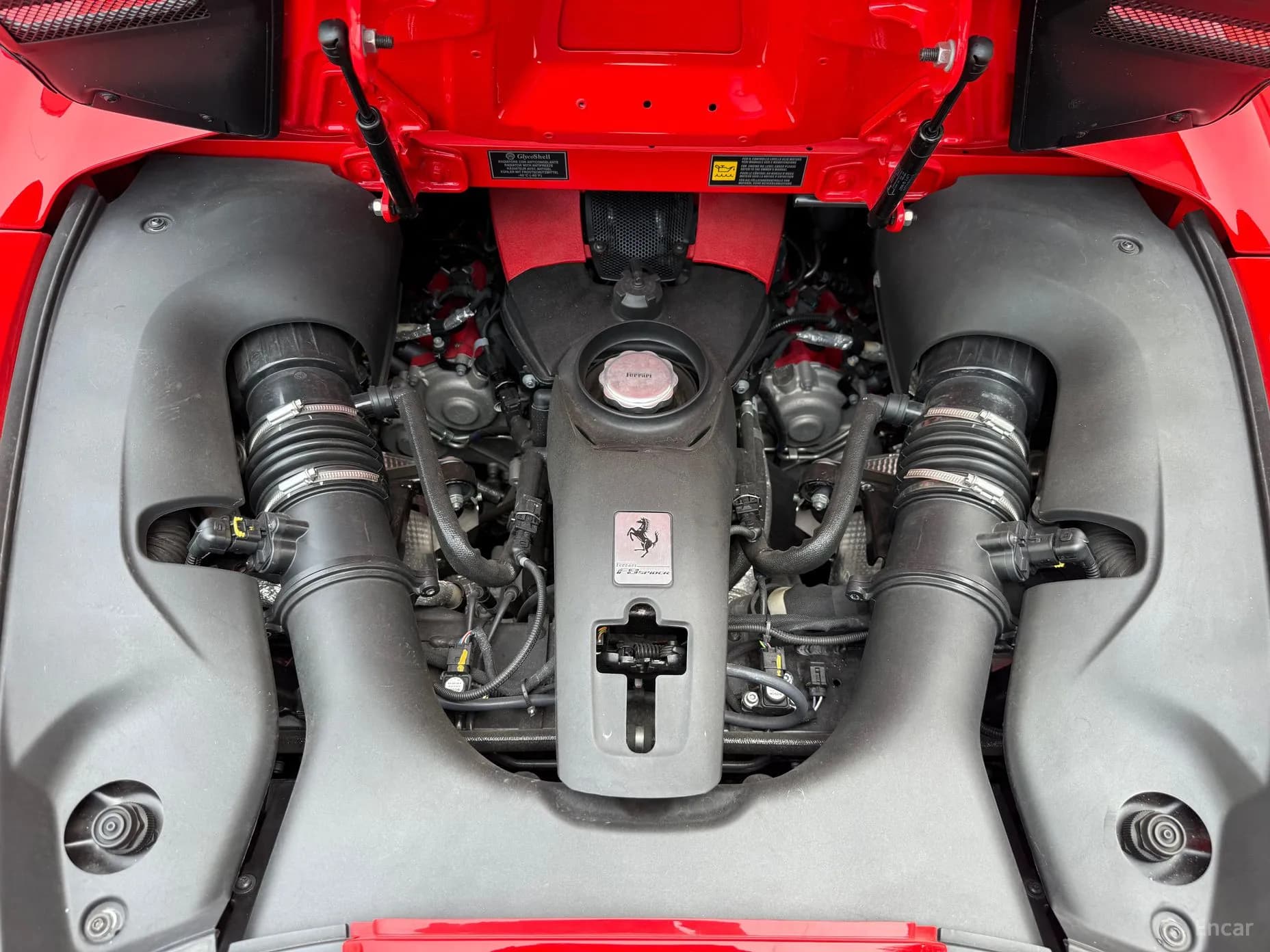 F8 Spider