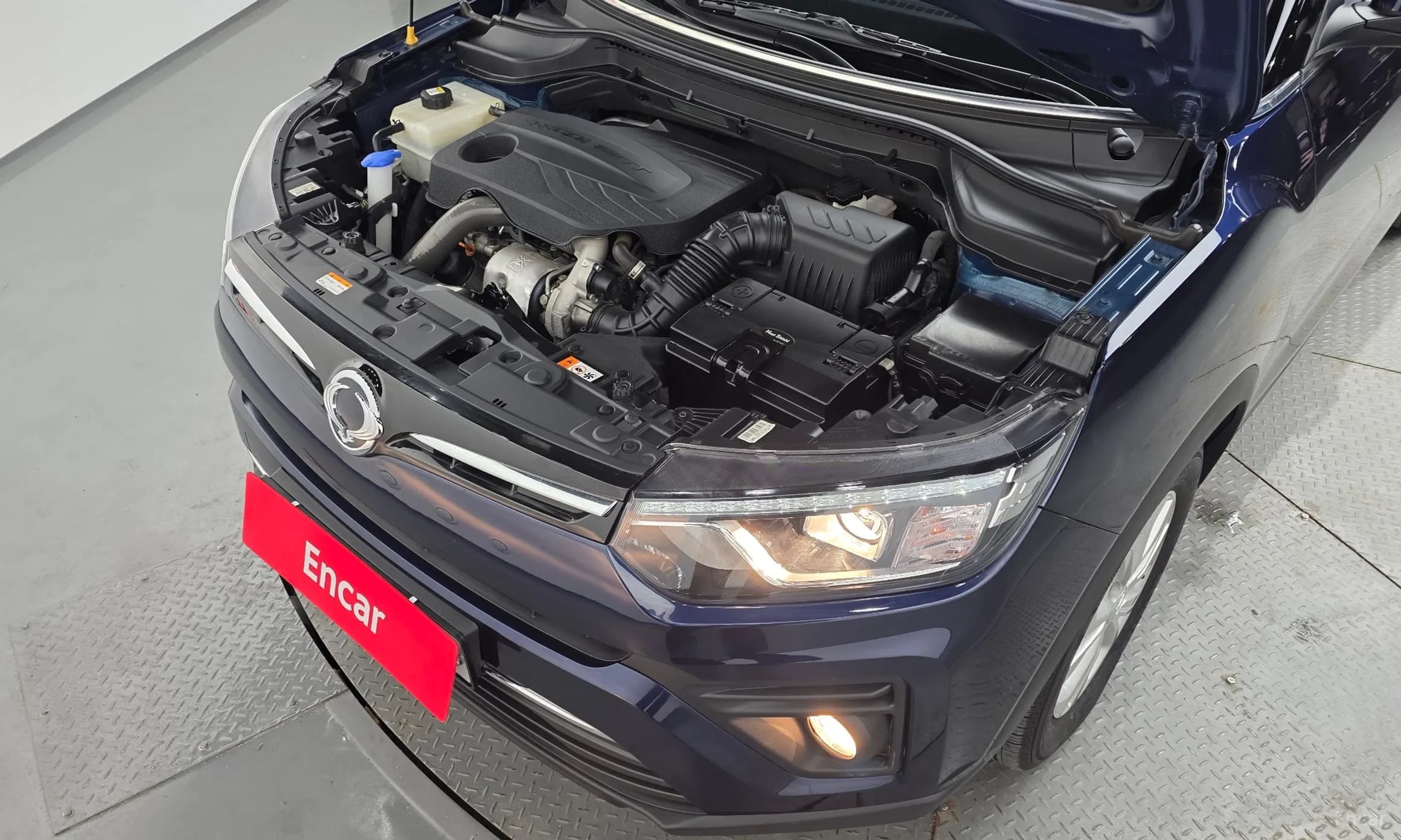 Berry New Tivoli