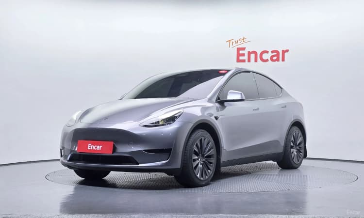 Model Y
