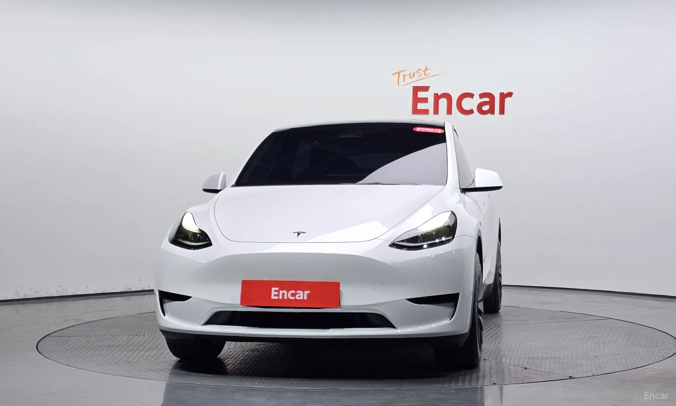 Model Y