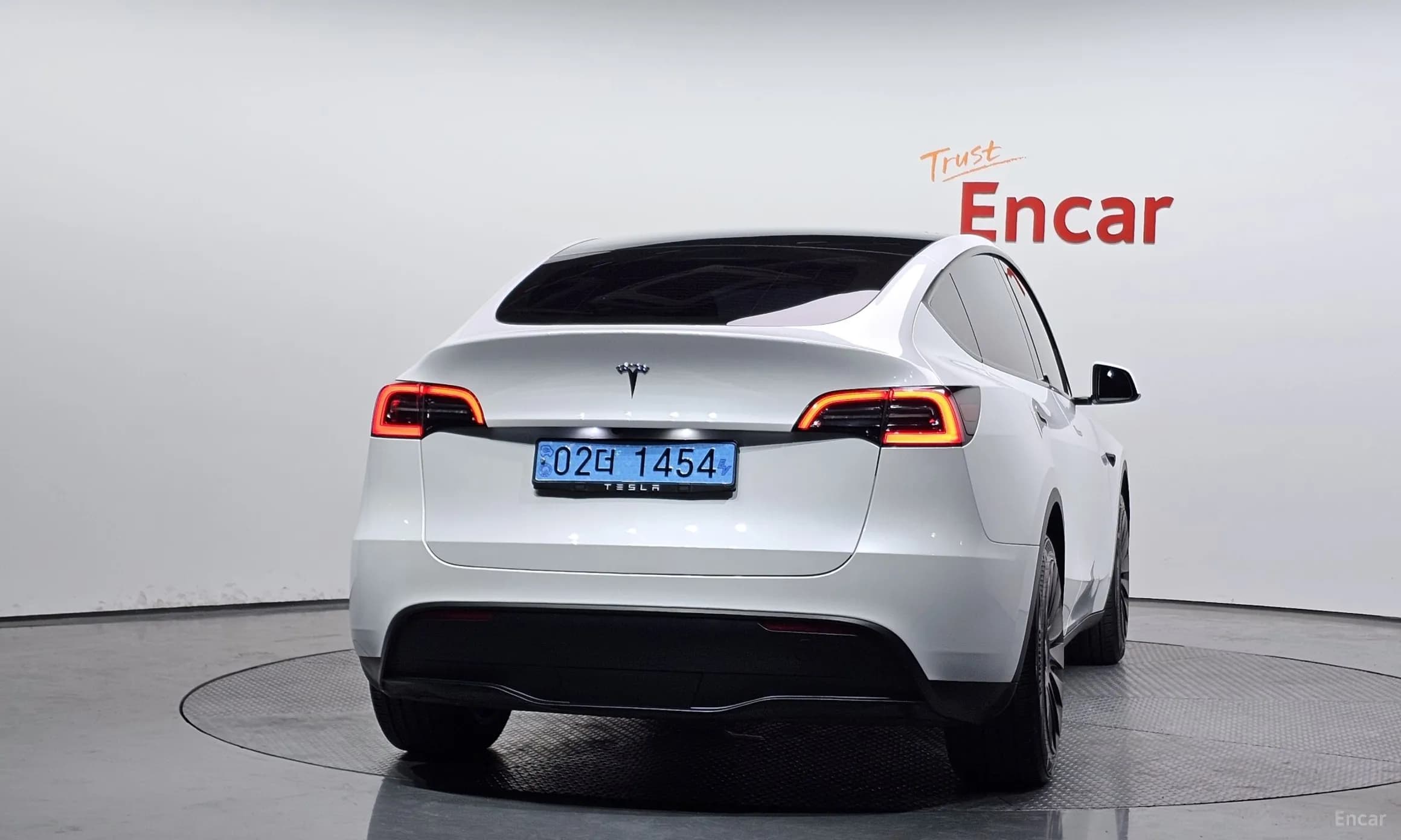 Model Y