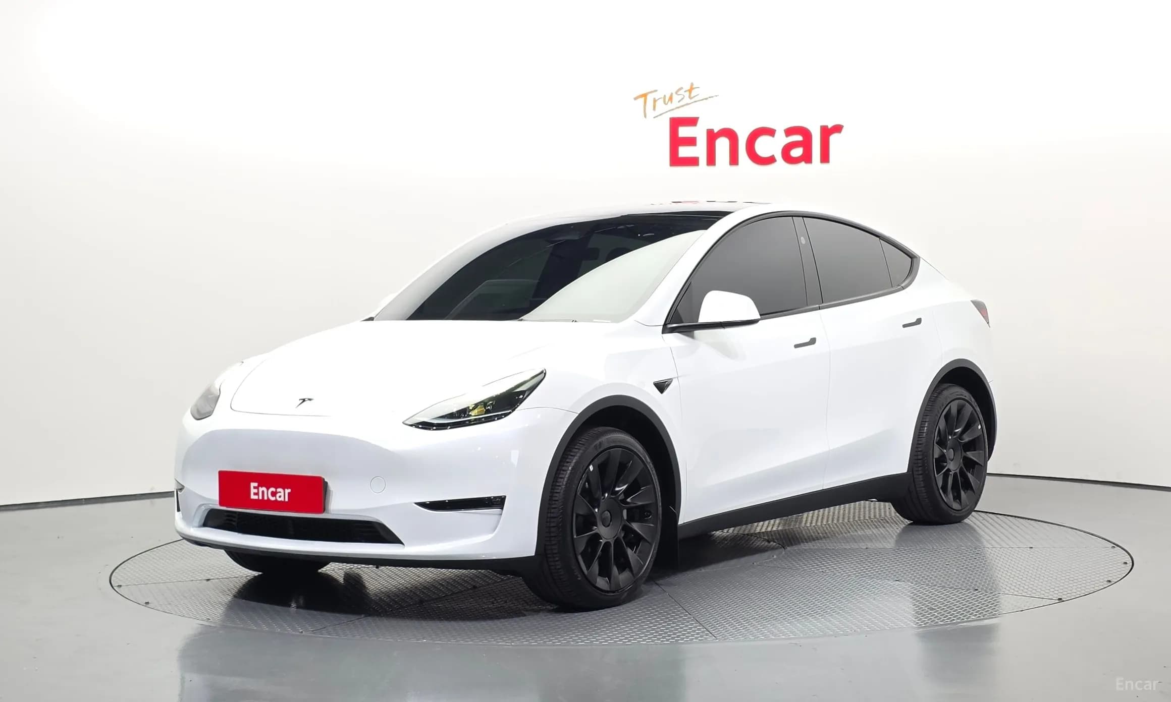 Model Y