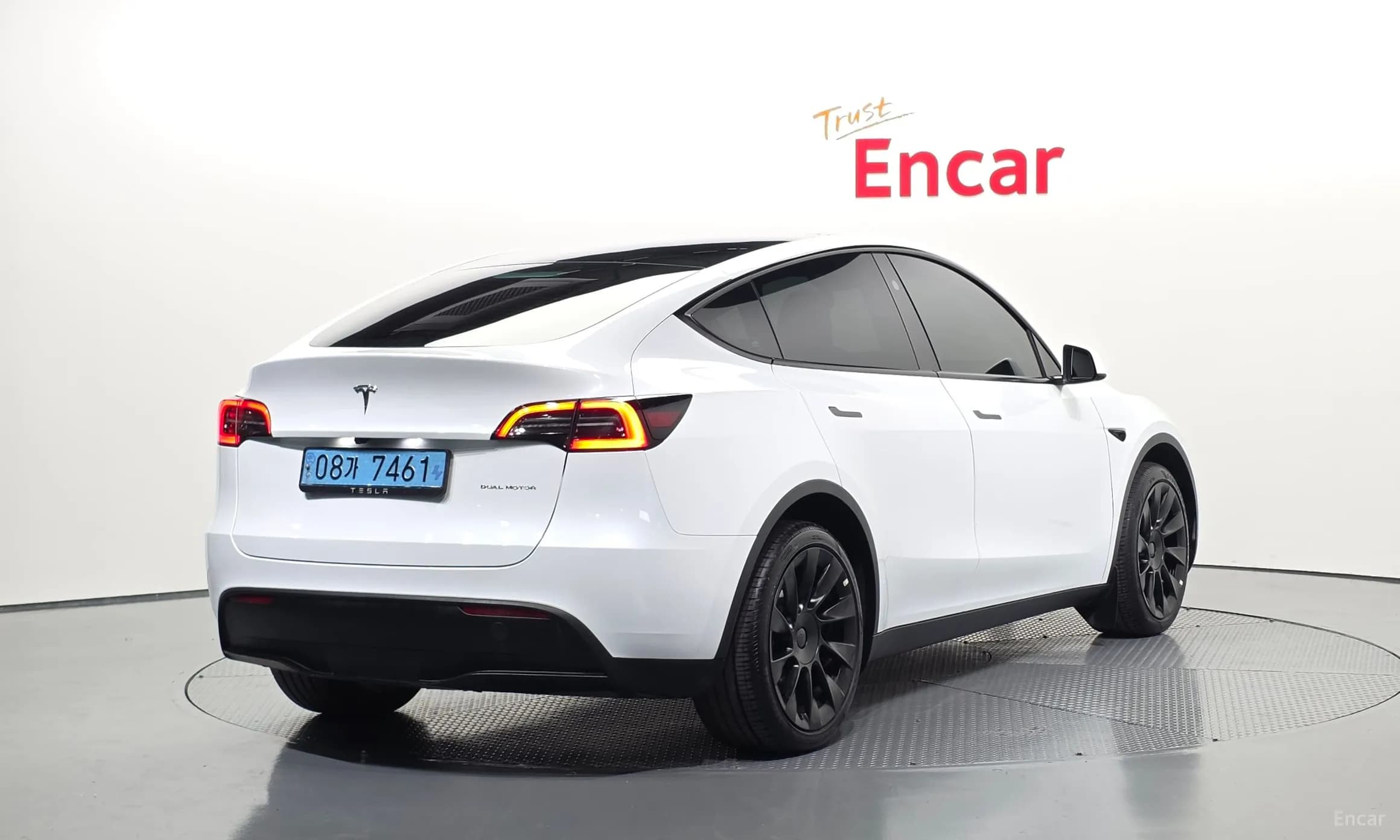 Model Y