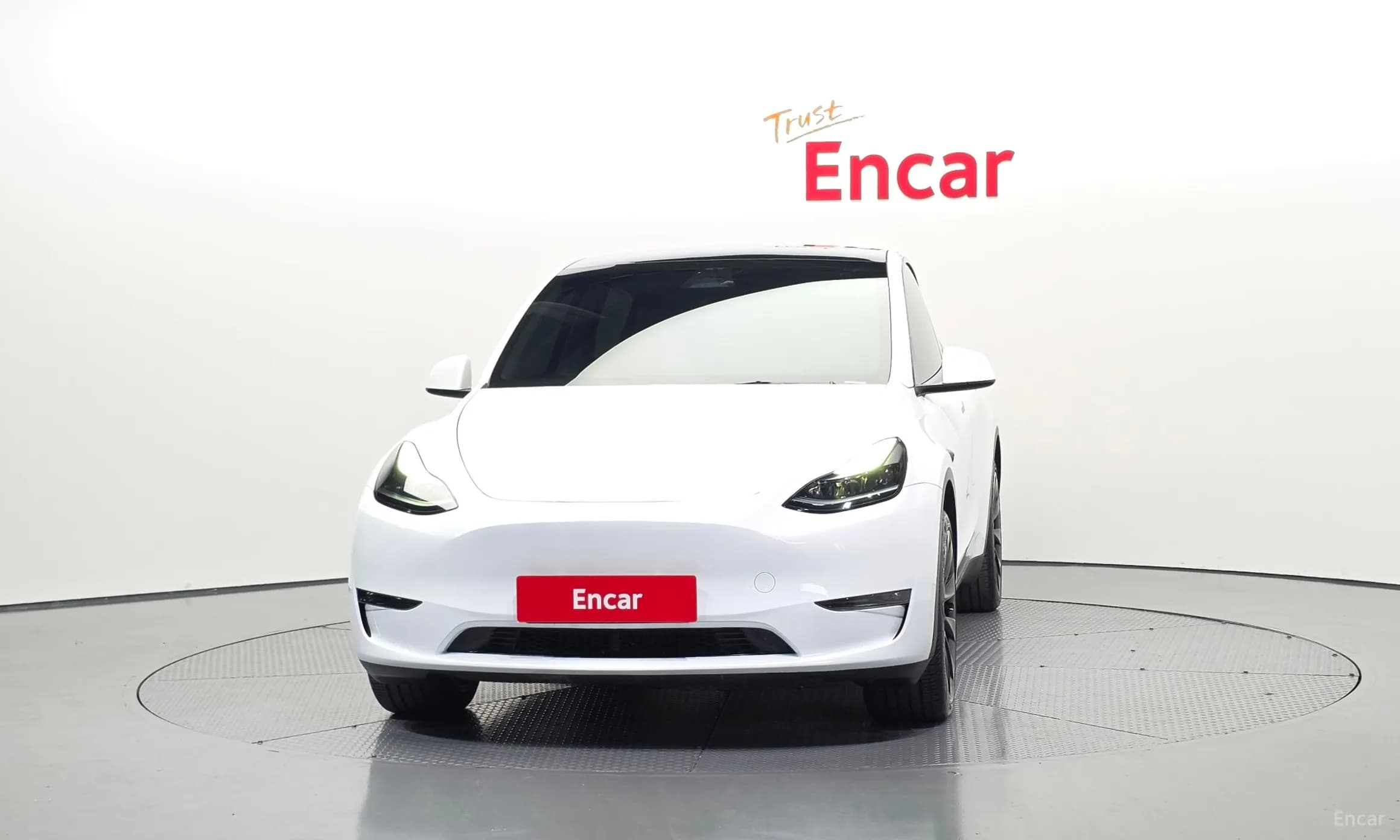 Model Y