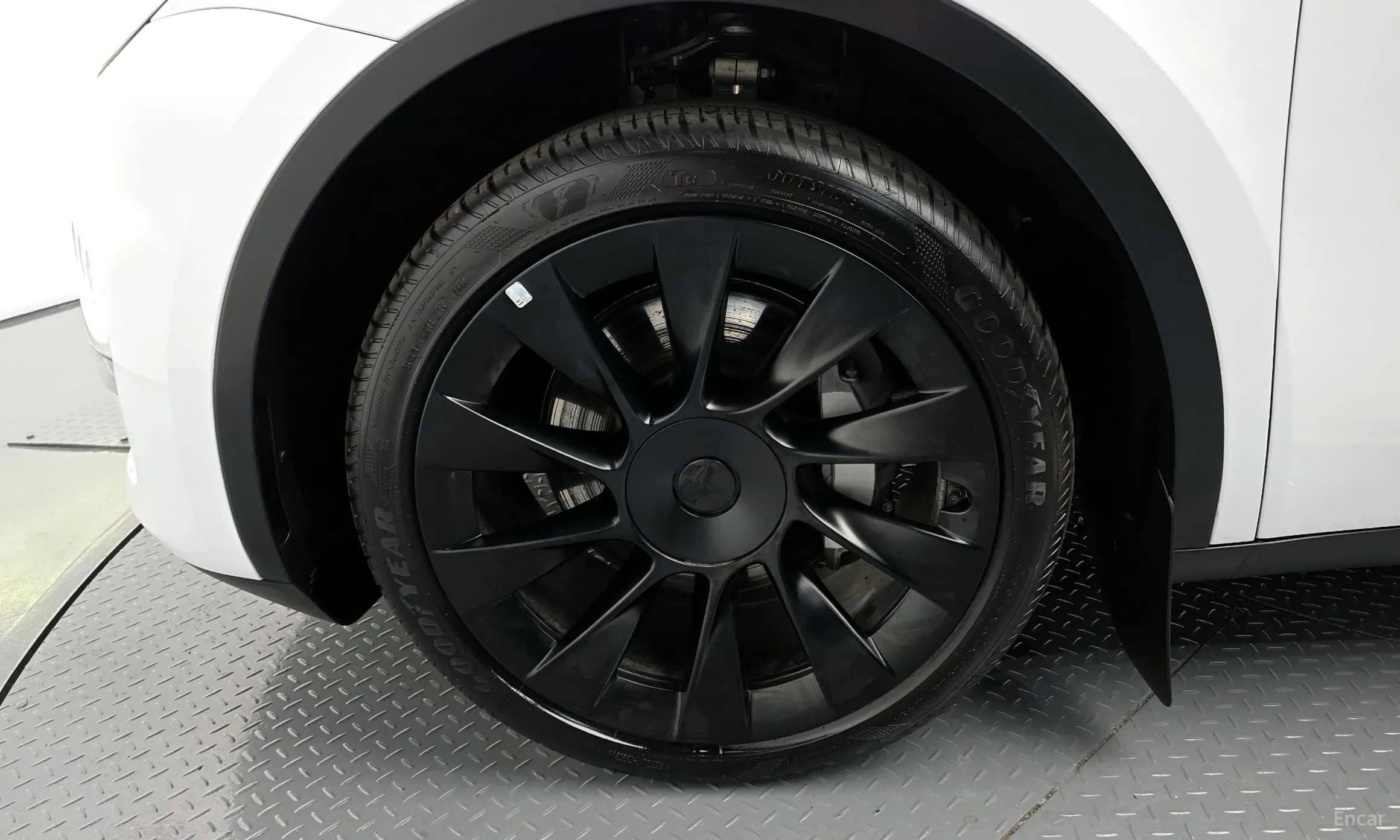 Model Y