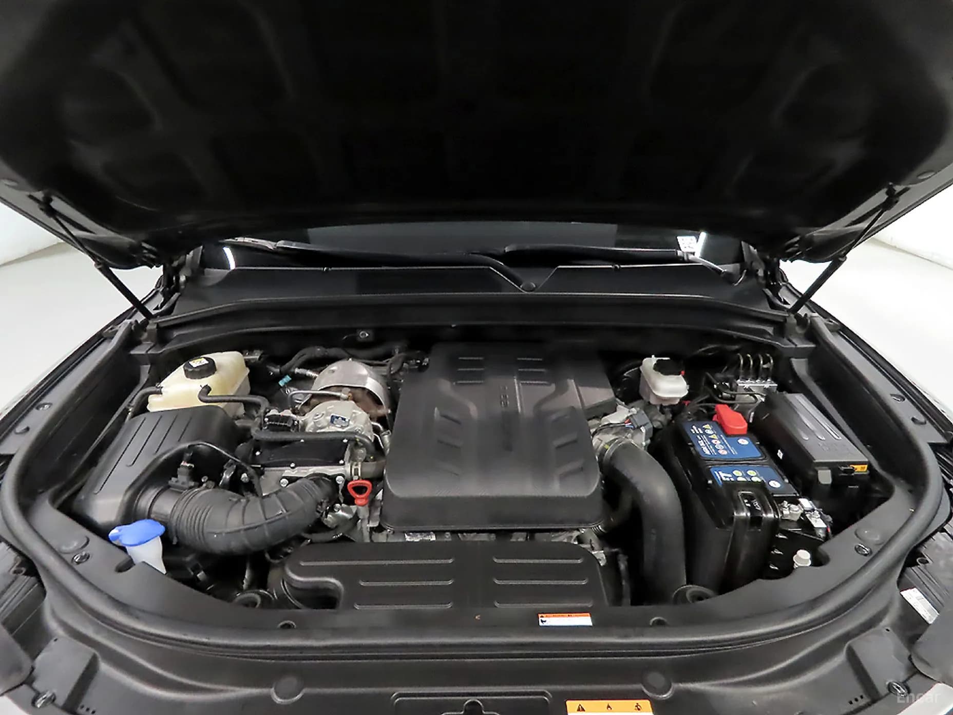 Rexton Sports