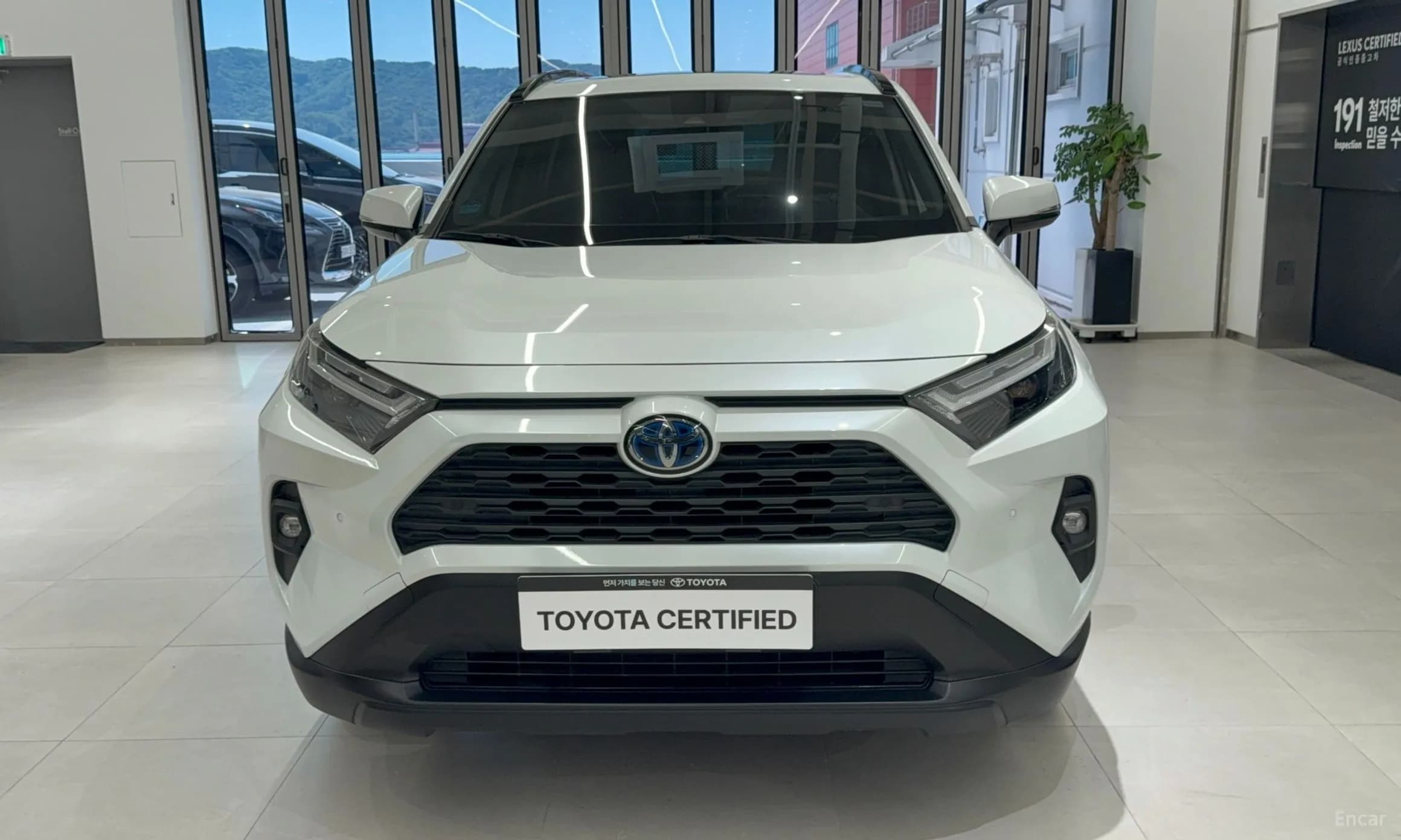 RAV4 5th Generation
