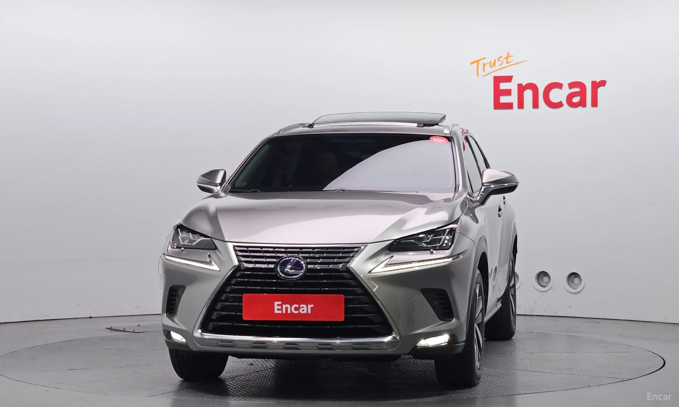 NX300h