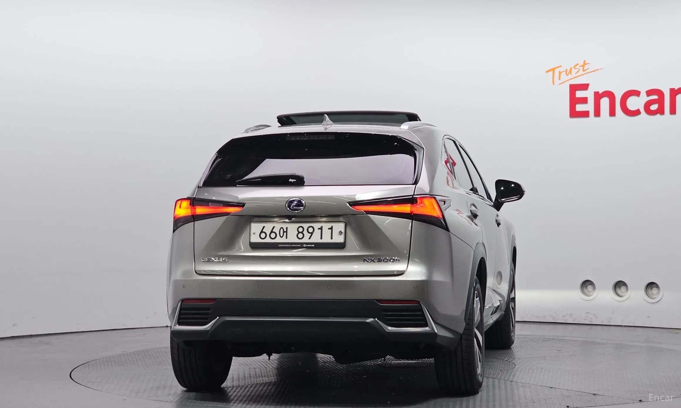 NX300h