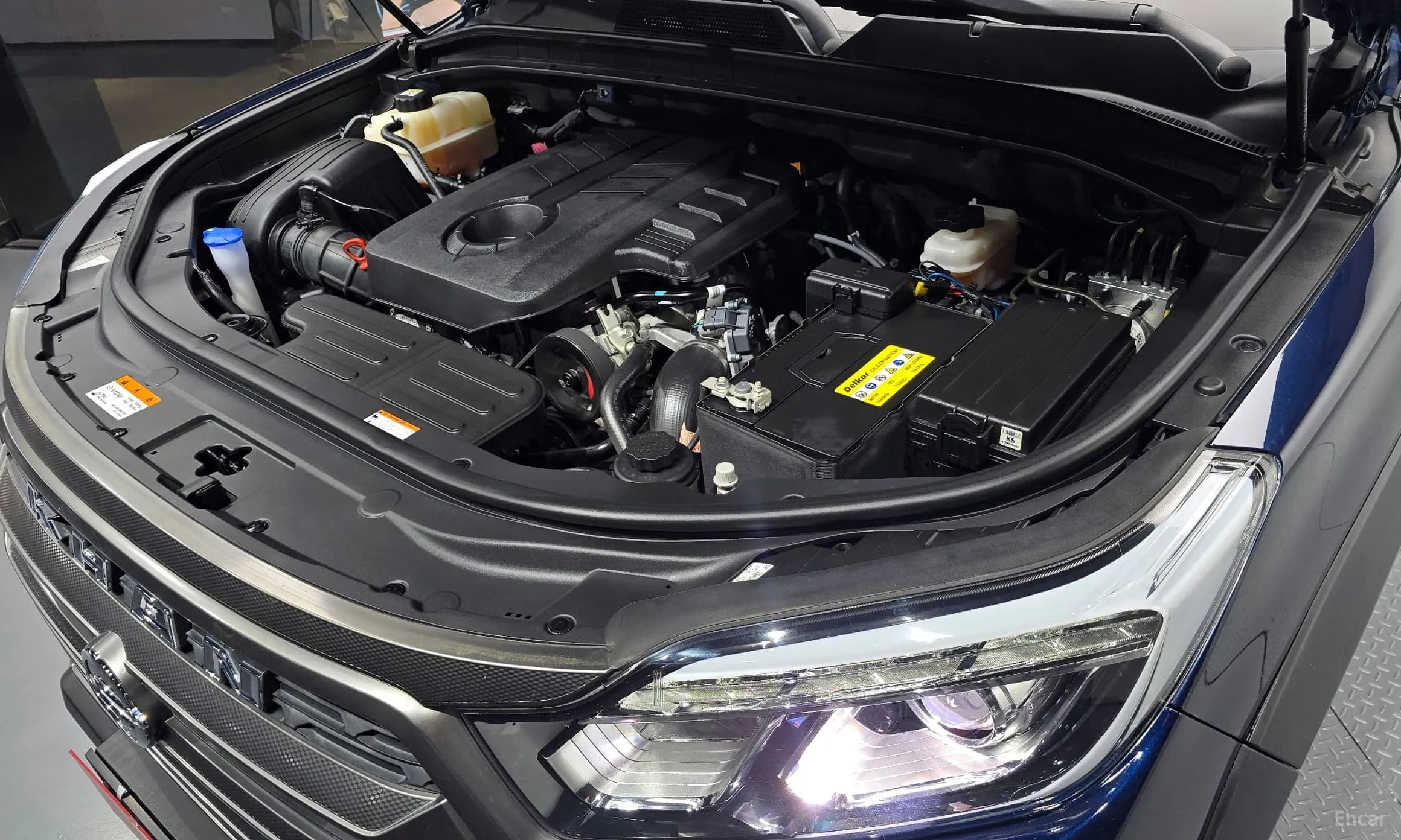 Rexton Sports Khan