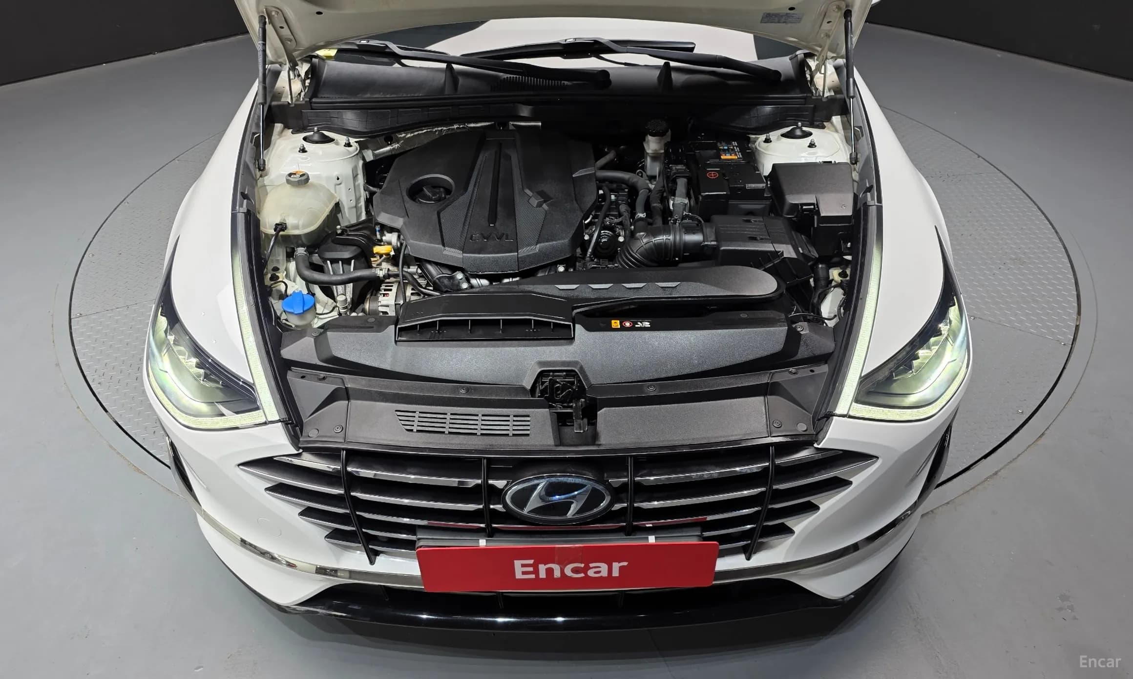 Sonata (DN8)