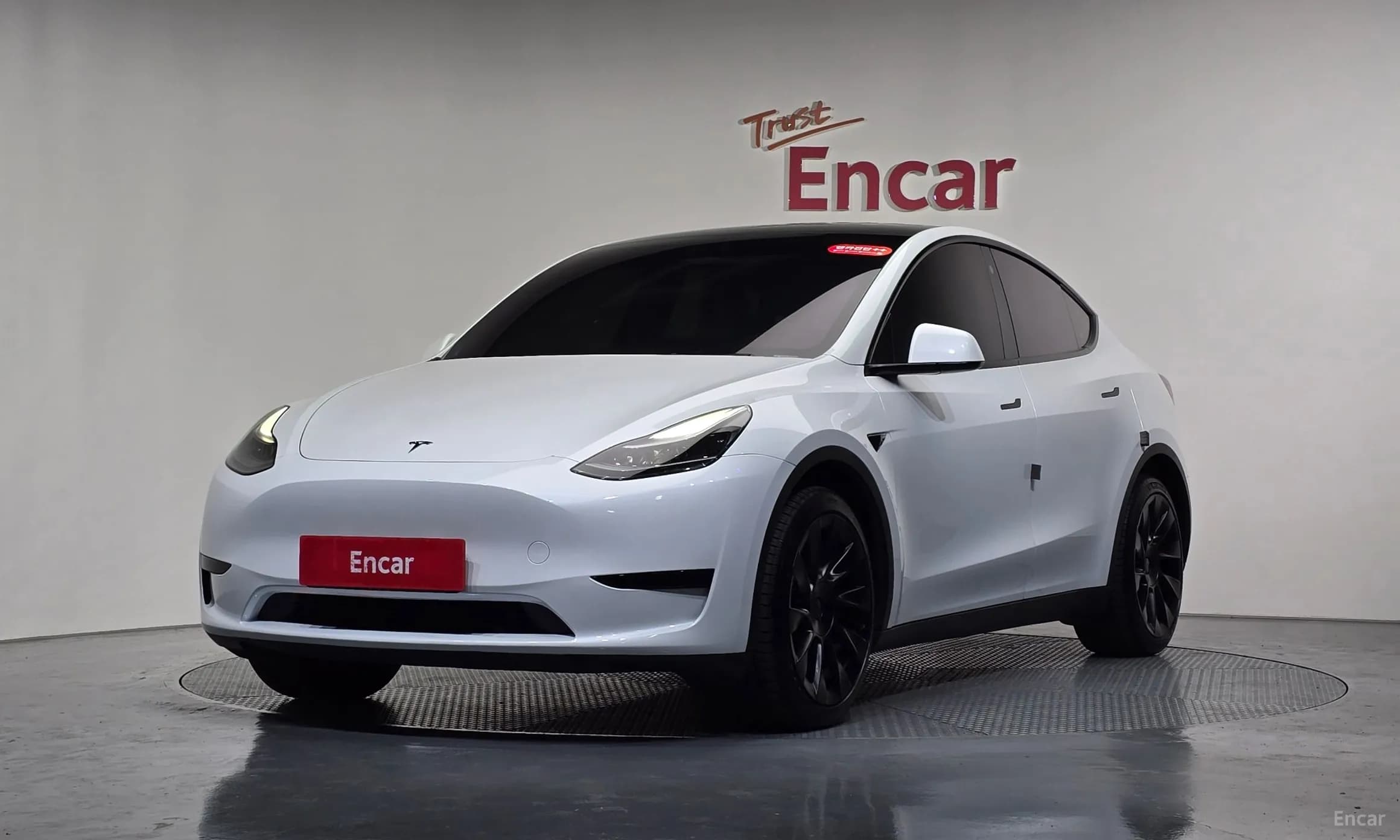 Model Y