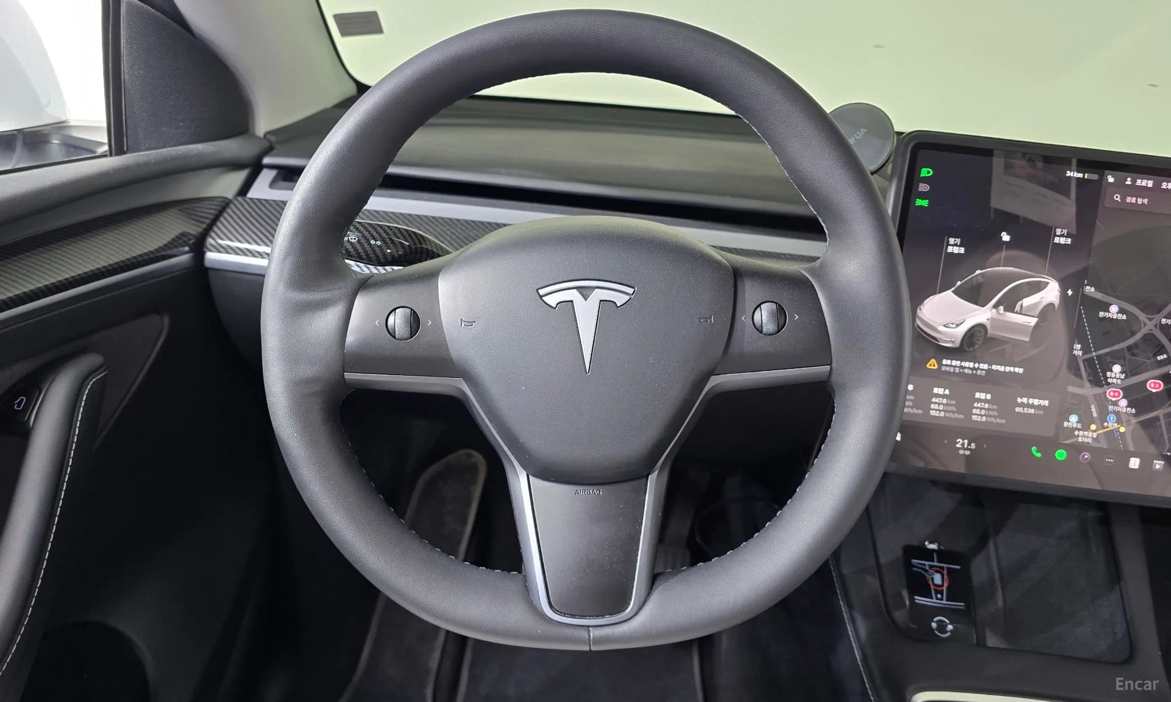 Model Y