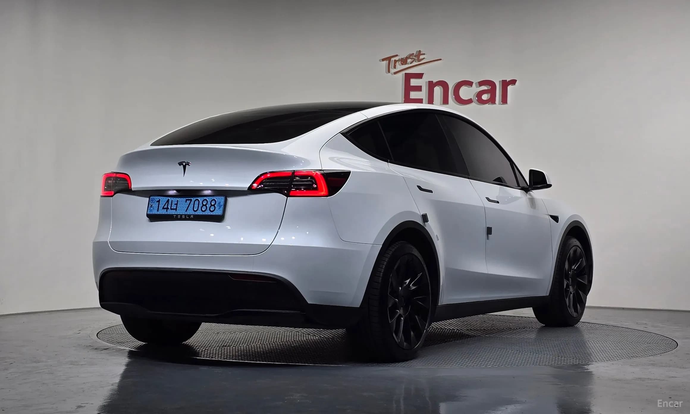 Model Y