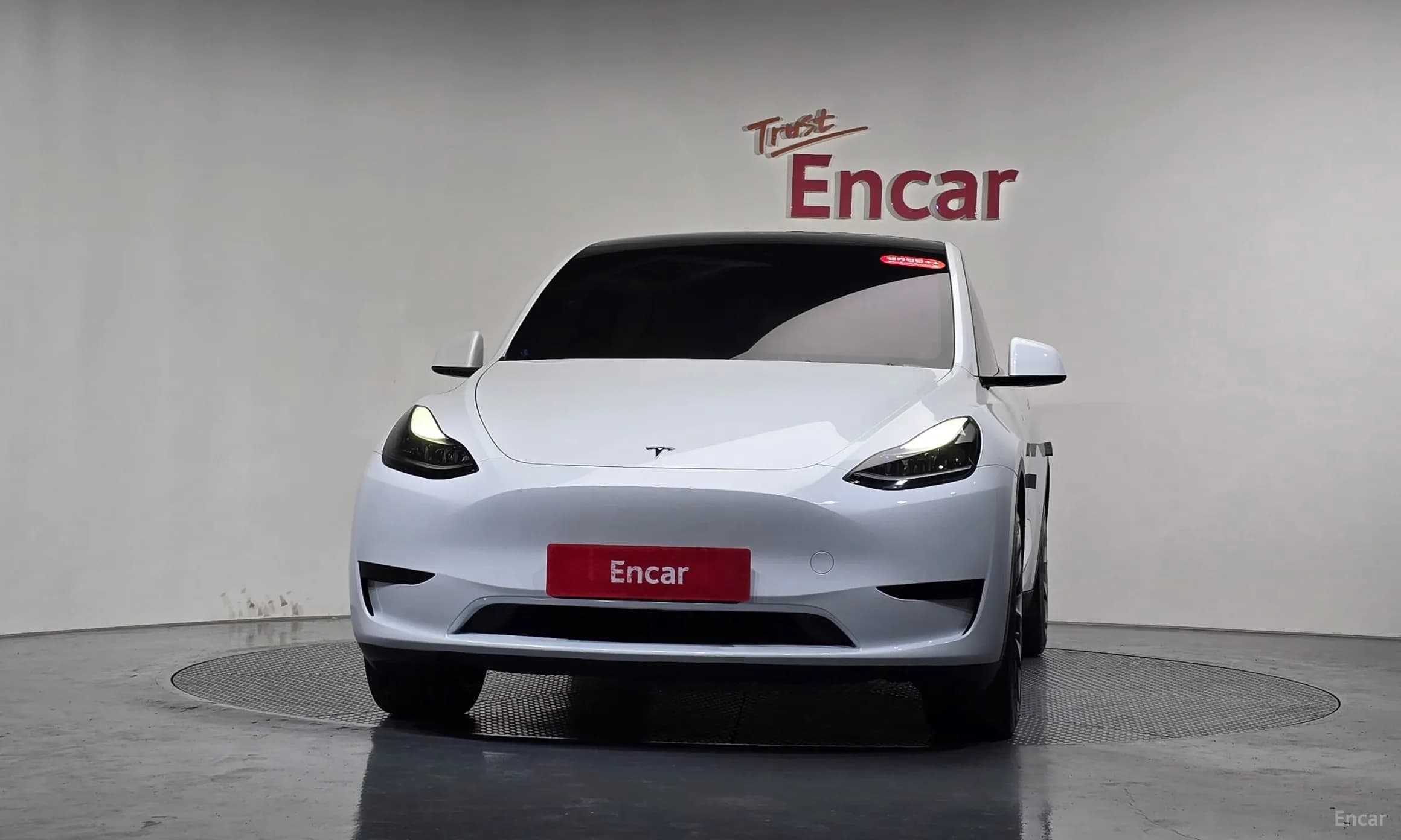 Model Y