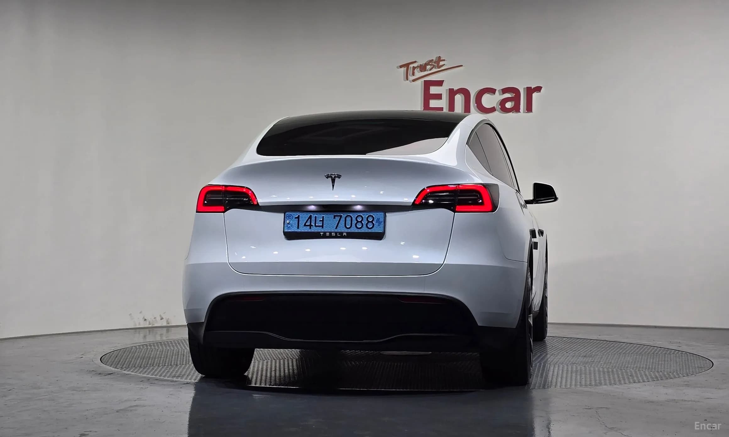 Model Y