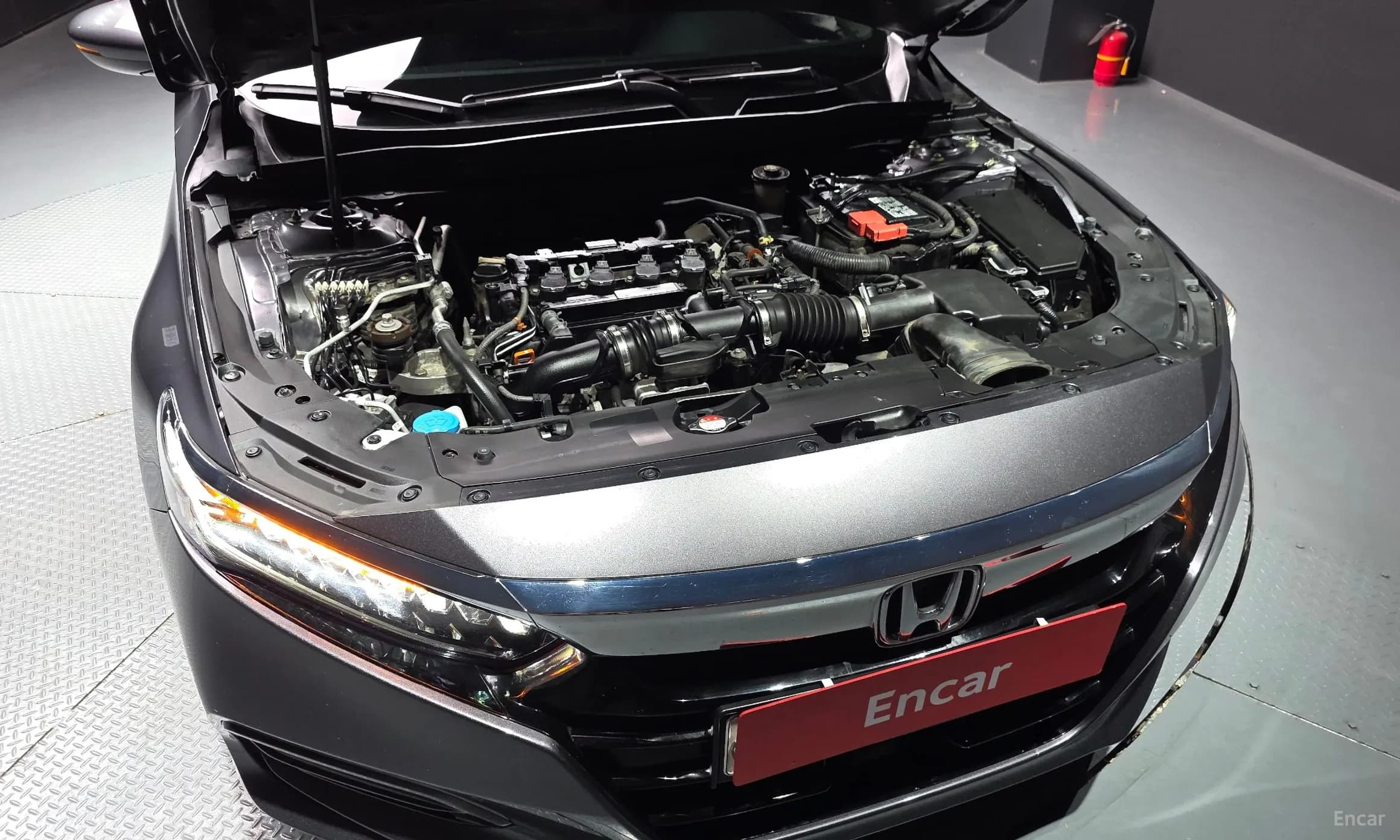 Accord 10th Generation