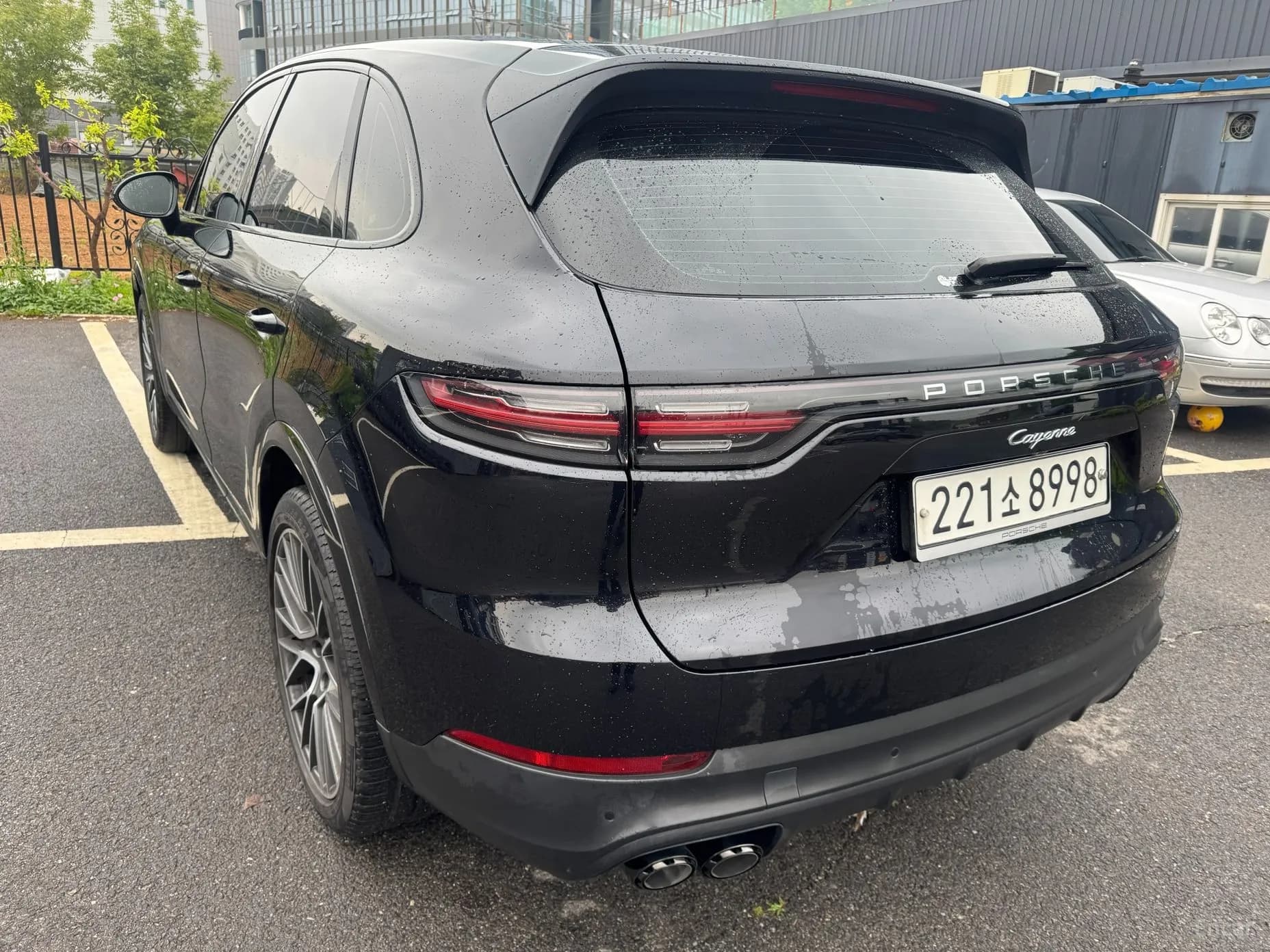 Cayenne (PO536)