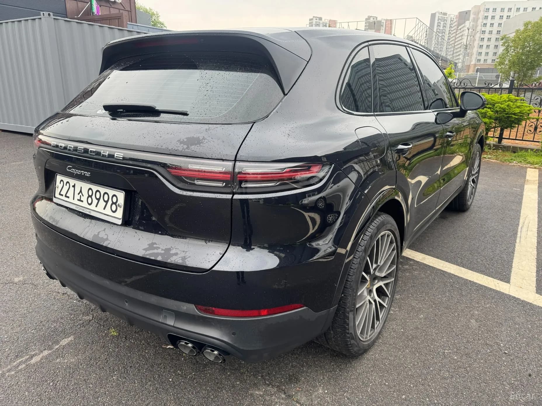 Cayenne (PO536)