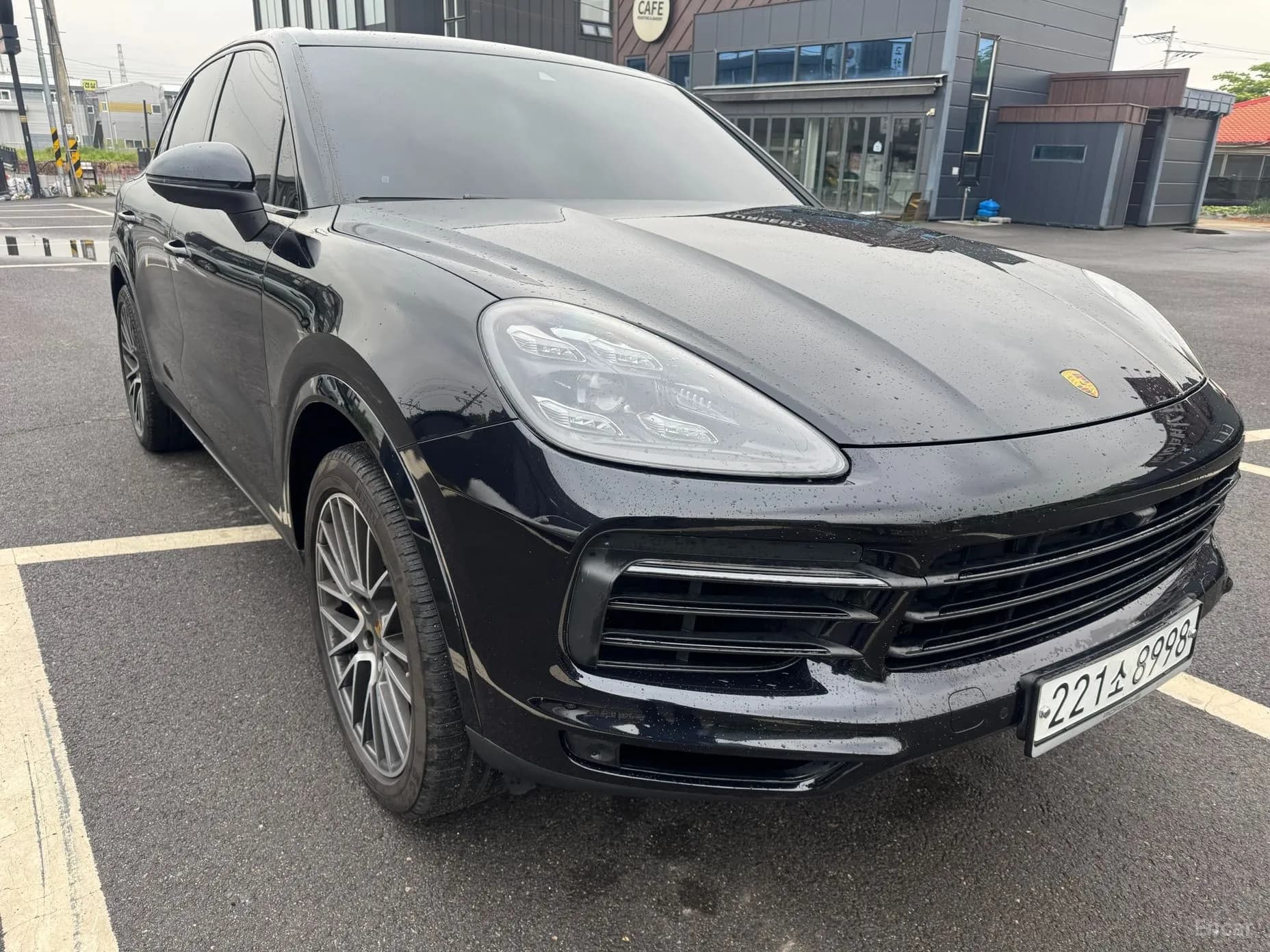 Cayenne (PO536)
