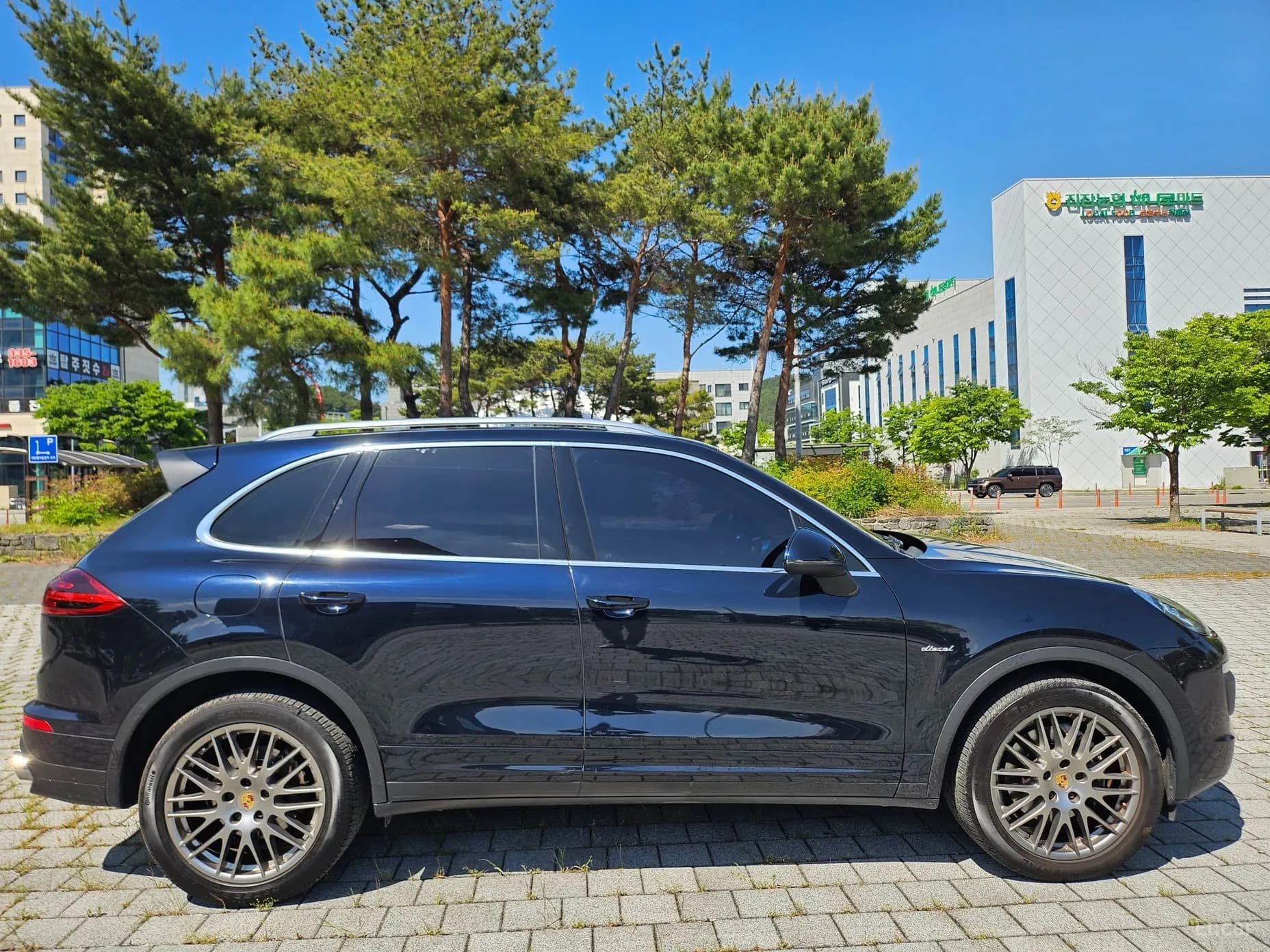 New Cayenne