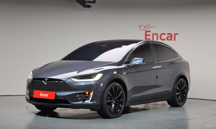 Model X