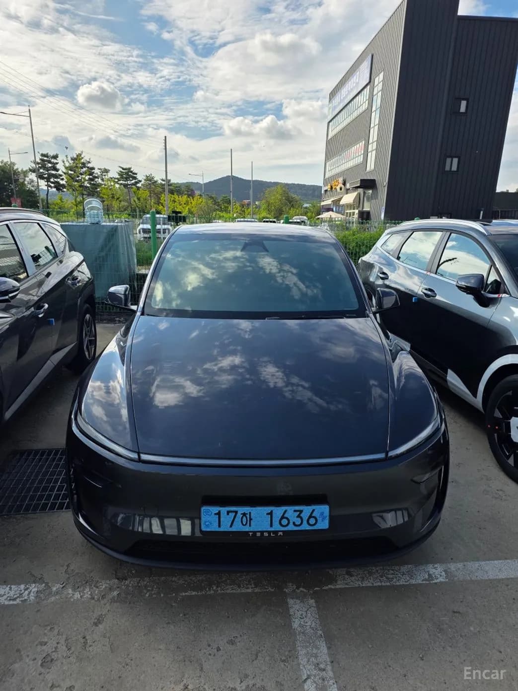 Model Y