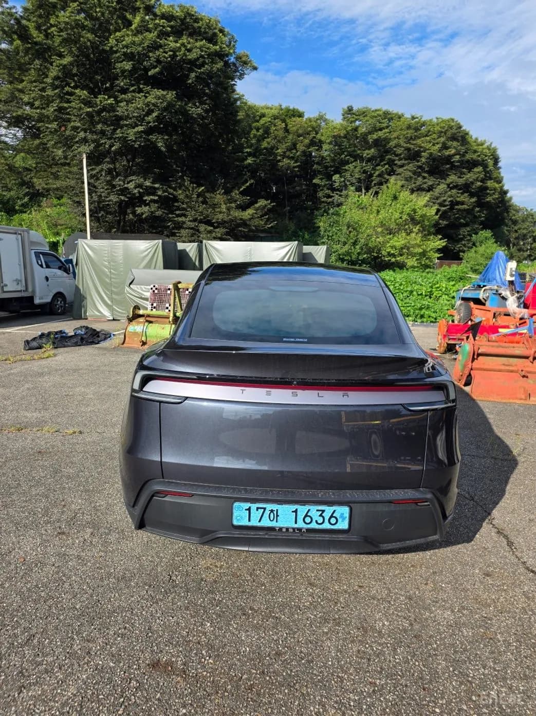 Model Y