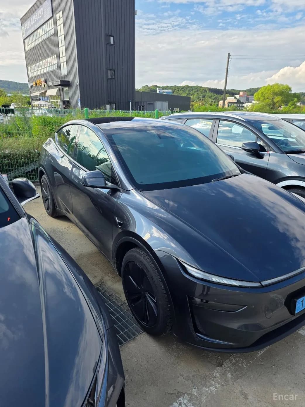 Model Y