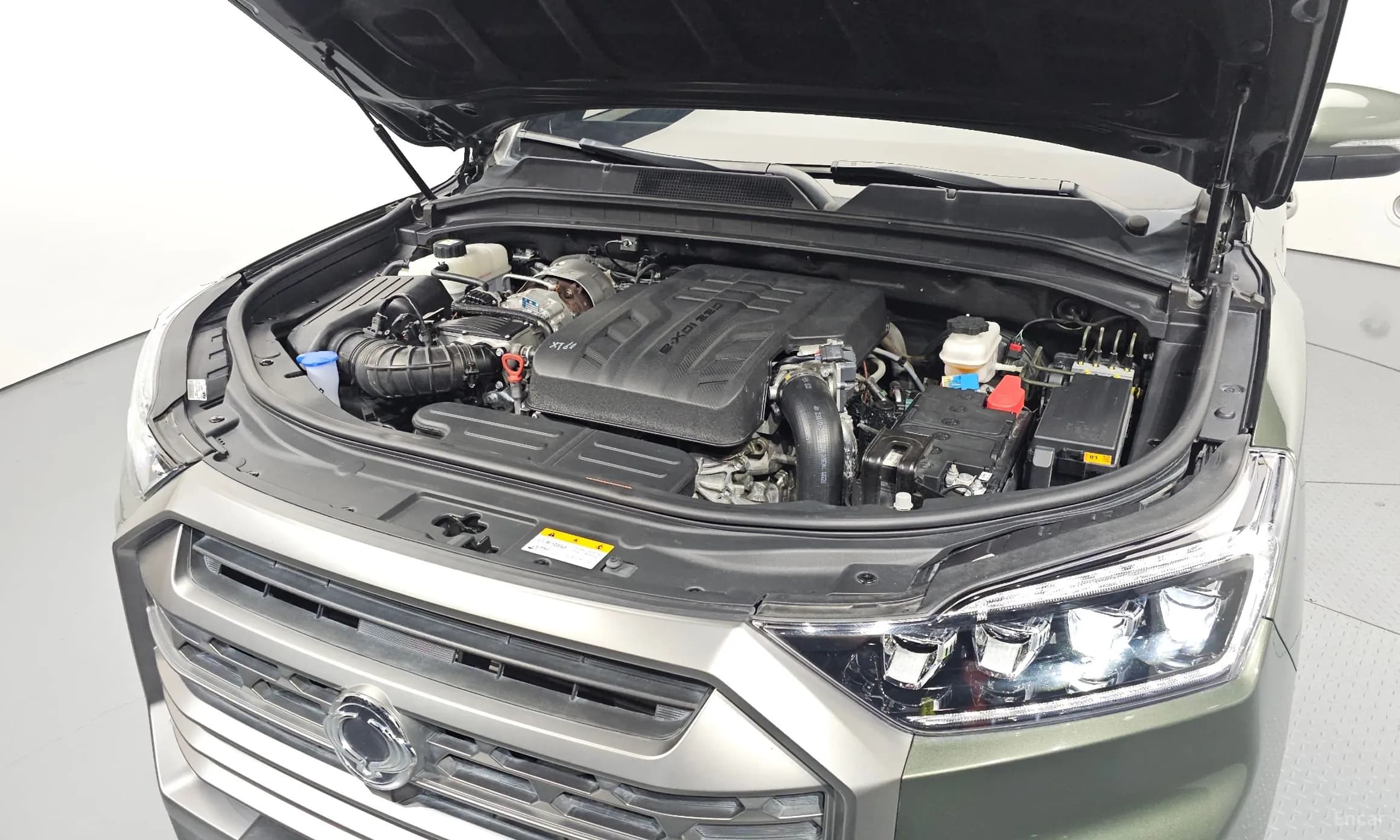 Rexton Sports