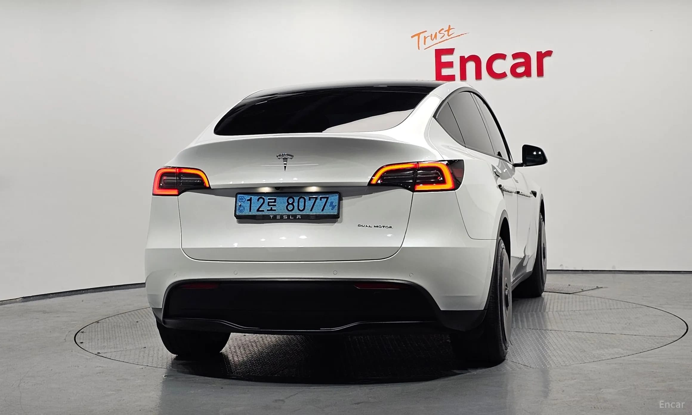 Model Y