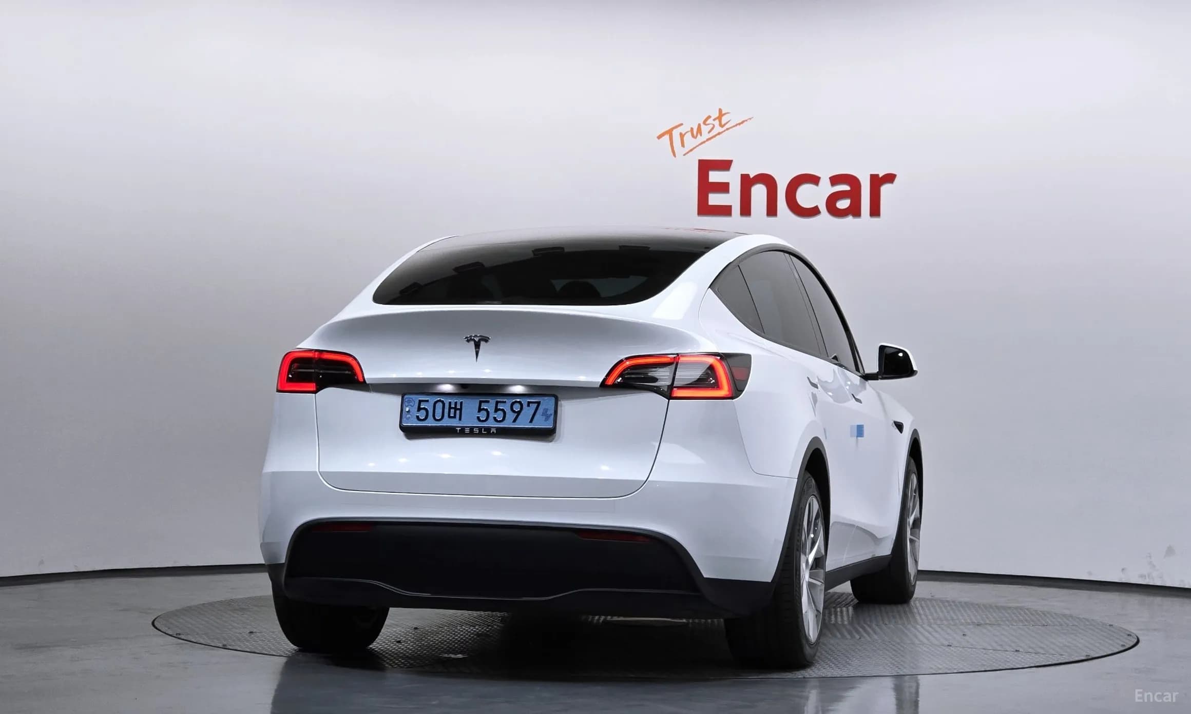 Model Y