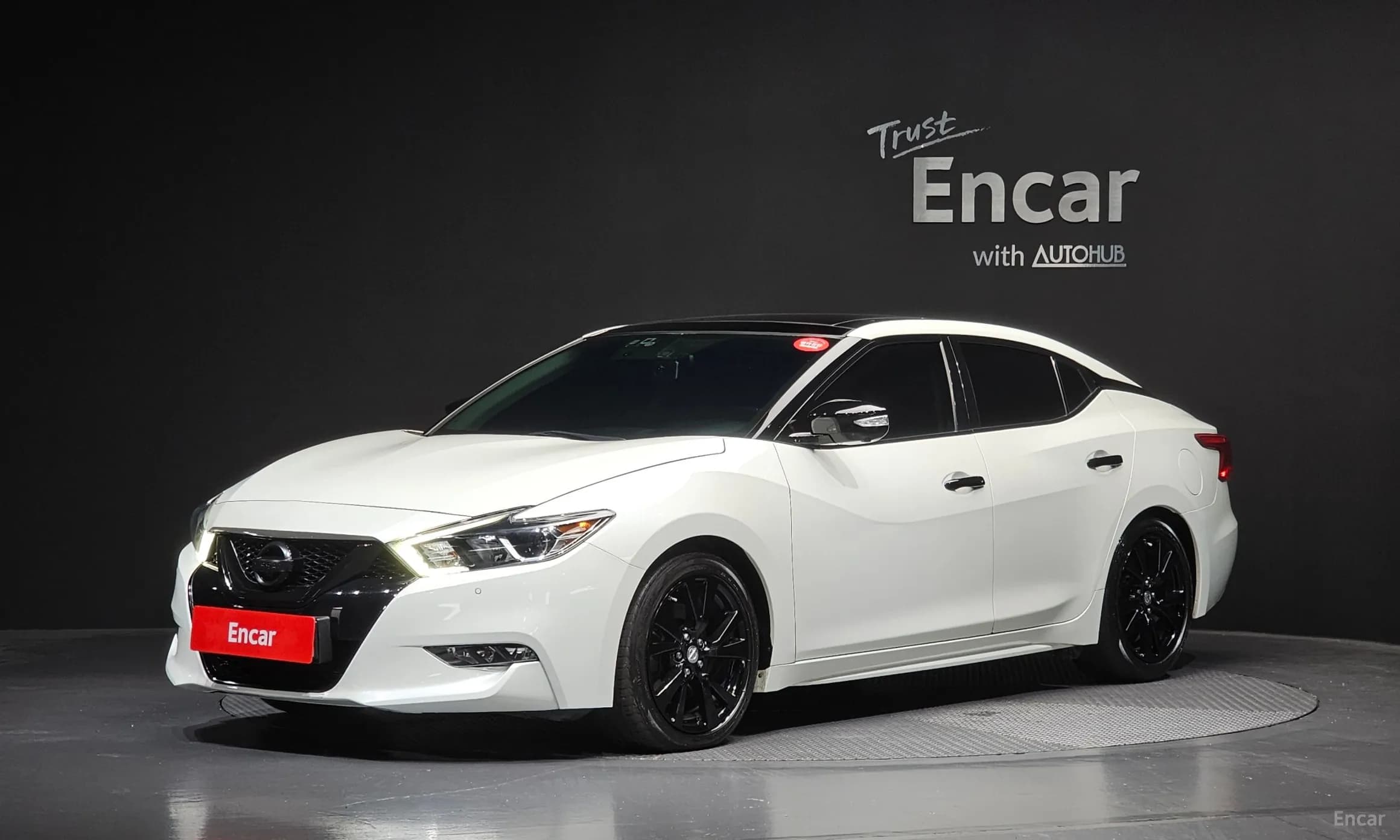 Maxima (A36)