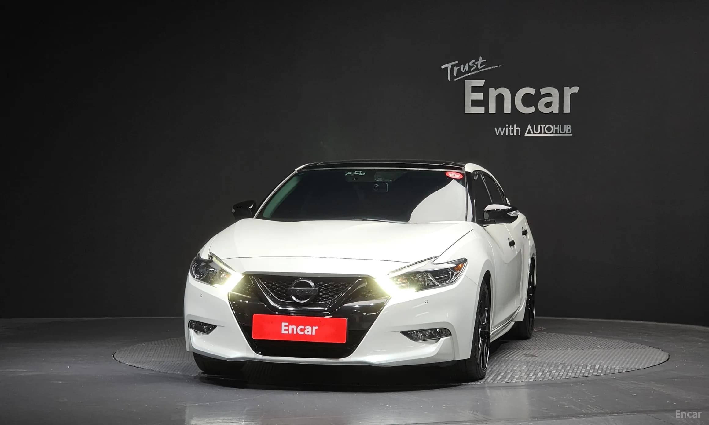 Maxima (A36)