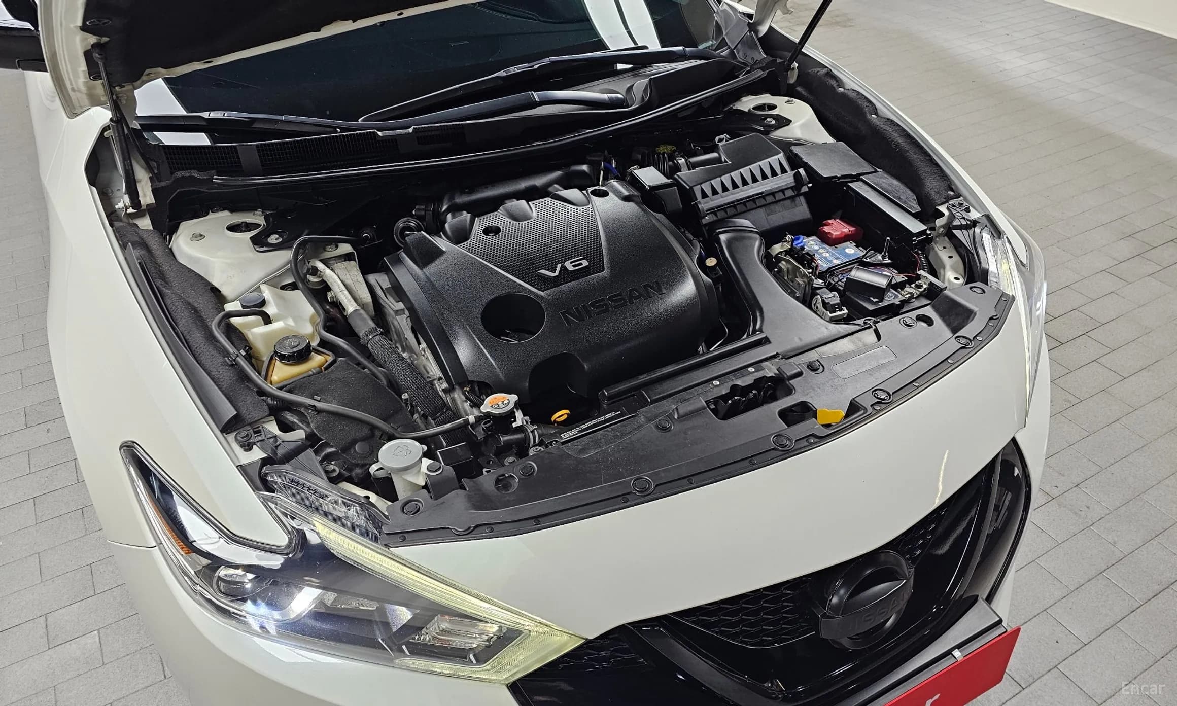 Maxima (A36)