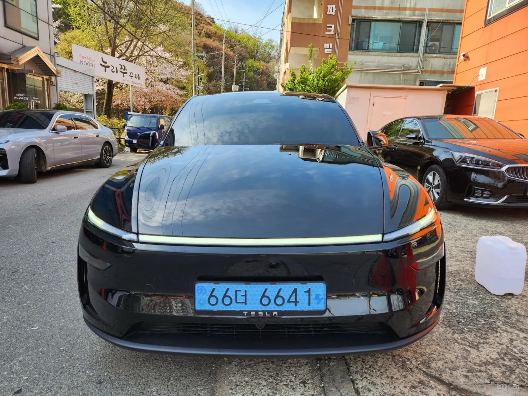 Model Y