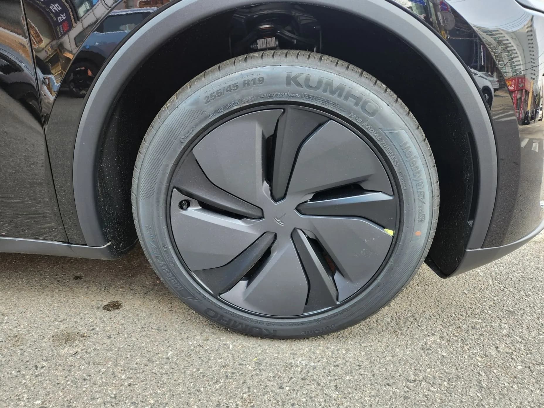 Model Y